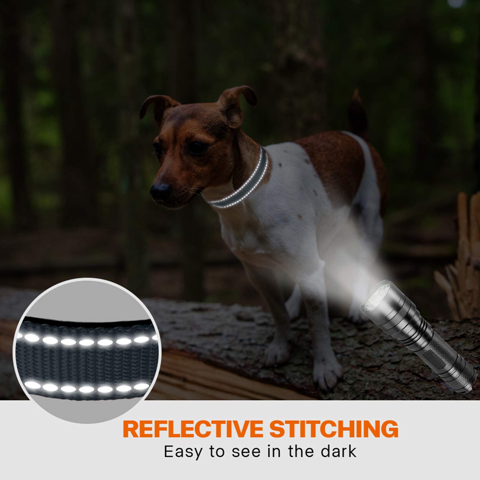 Taglory Reflective Dog Collar With Safety Locking Buckle, Adjustable Nylon Pet Collars For Small Dogs, S, Grey