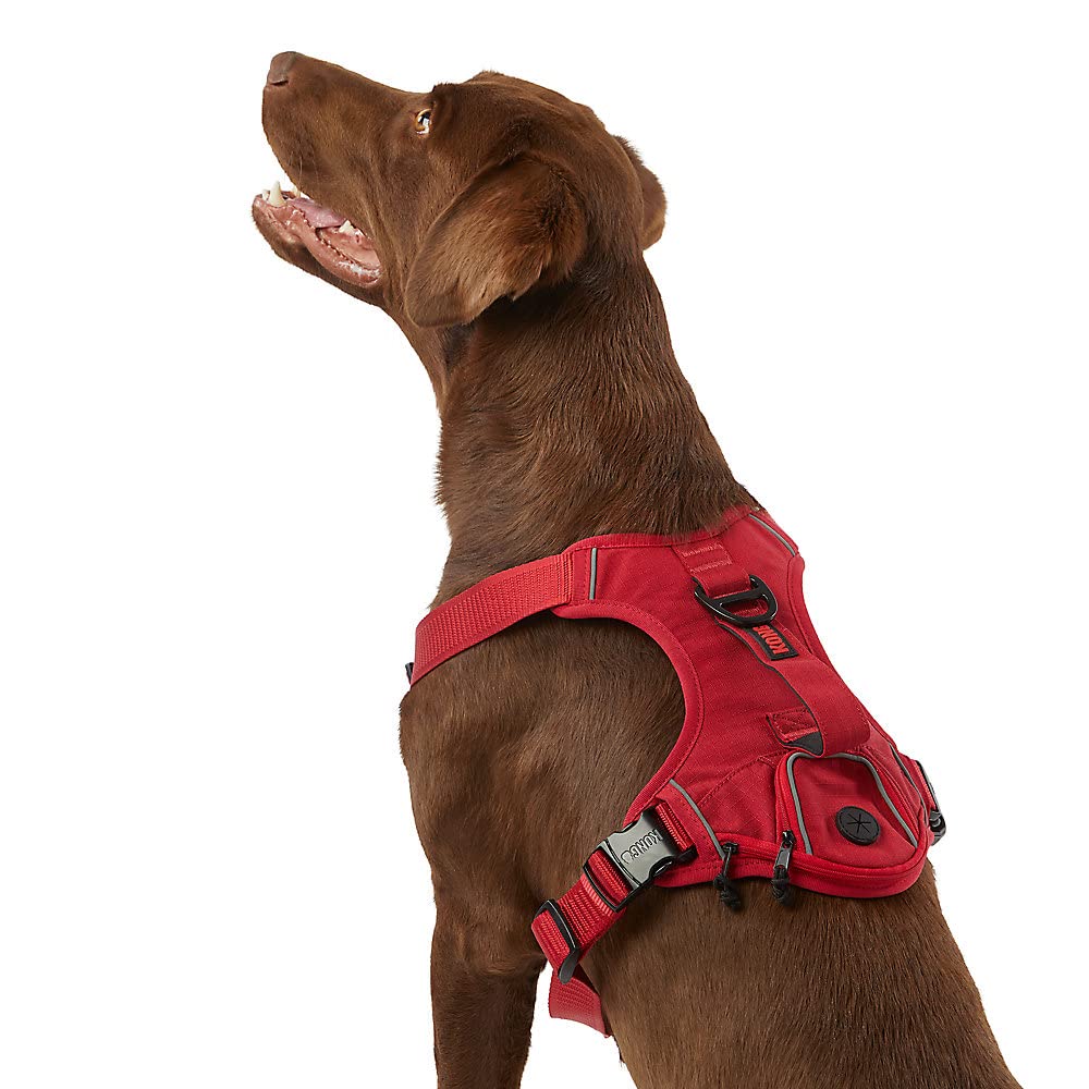 Kong Ultra Durable Waste Bag Harness (Large, Red)