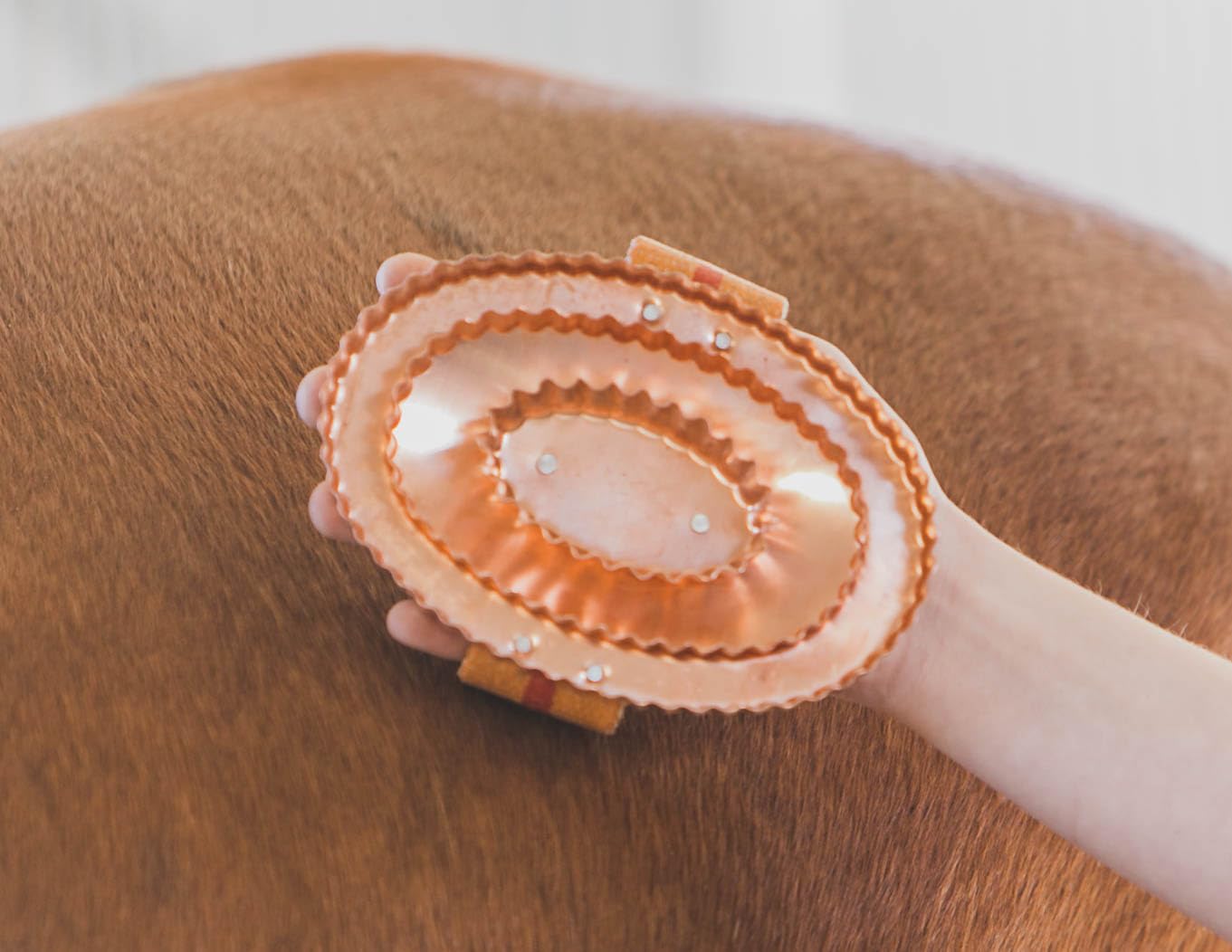 Kawell Usa Oval Face Curry Comb Brush For Horse Grooming And Coat Care With Grip Handle