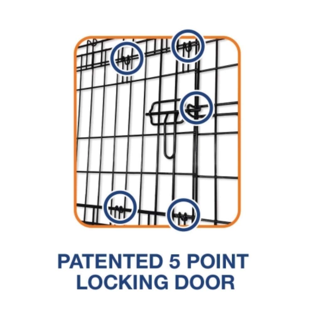 Precision Pet Two Door Wire Dog Crate, 24 Inch, Black, 5-Point Locking System, For Pets 15-30 lbs, Model 7011272