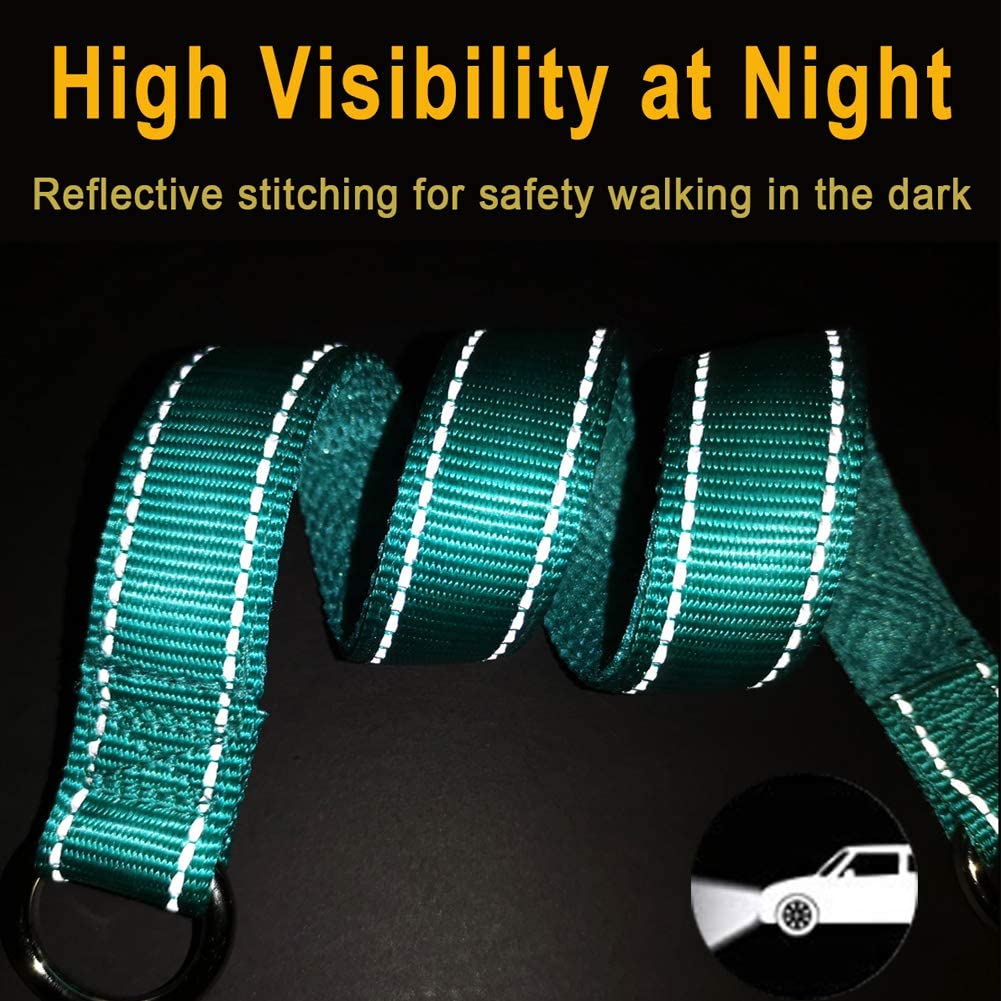 Mycicy Reflective Dog Choke Collar, Soft Nylon Training Slip Collar For Dogs (5/8' W X 15.5' L, Turquoise)