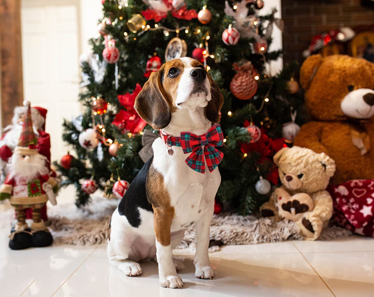 Dogwong Christmas Dog Collar With Sailor Bow Tie, Red Plaid, Cotton, Medium, S