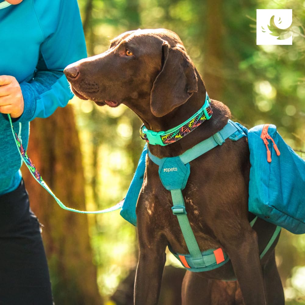 Rc Pet Products Quest Day Pack, Dog Backpack, Heather Teal, Medium