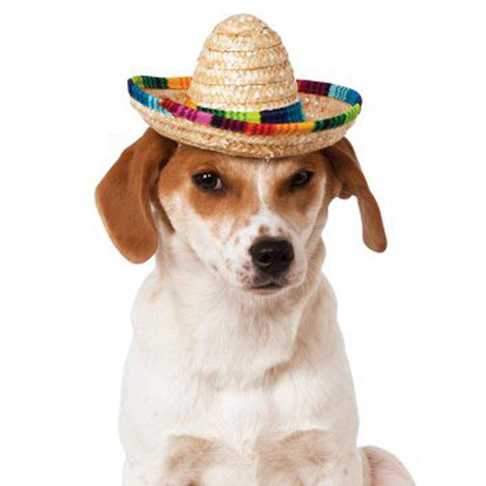 Cieovo Dog & Cat Straw Sombrero Hat, Mini Mexican Hats, One Size Fits All, Lightweight, Multi-Use Pet Apparel