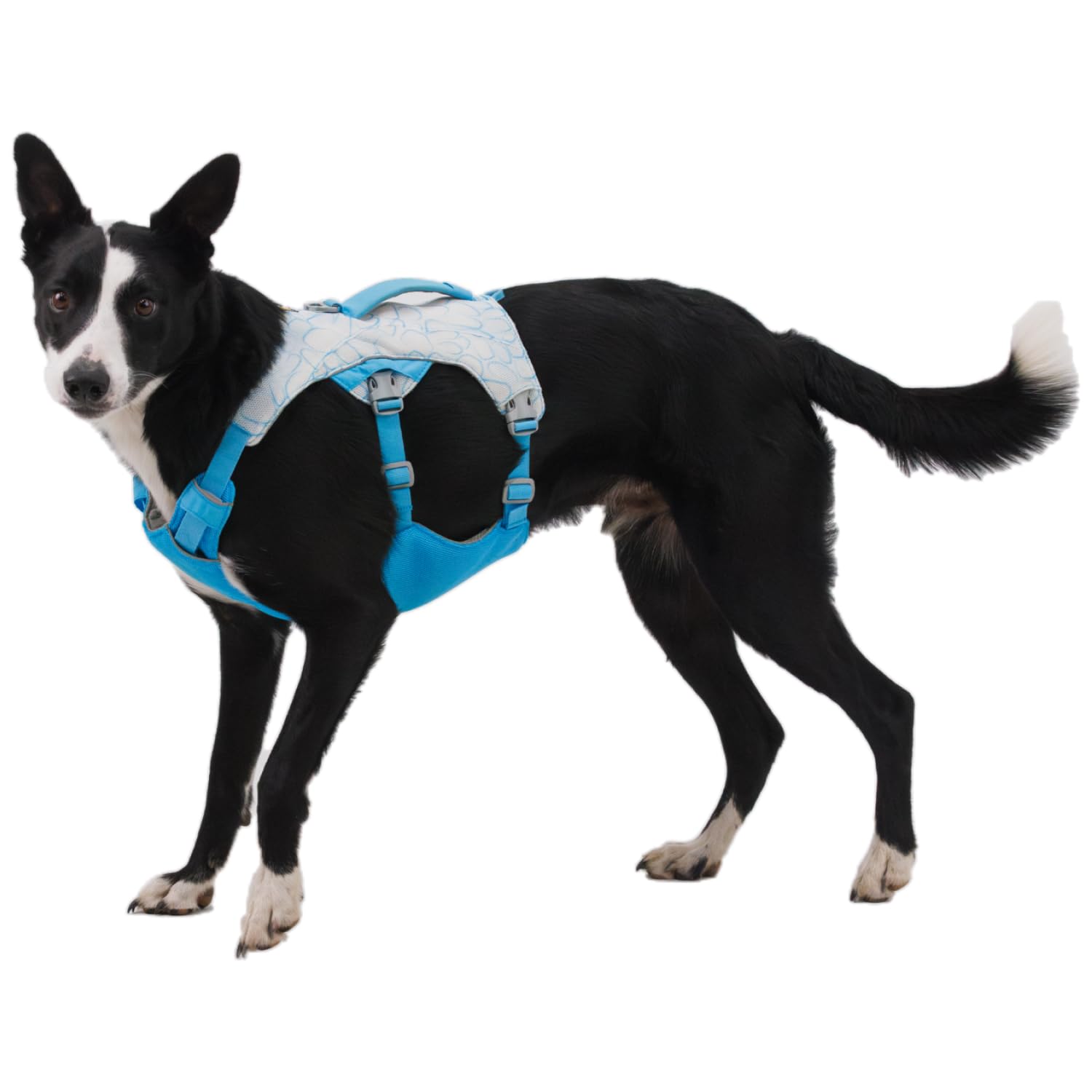 Ruffwear, Swamp Cooler Dog Harness, Lightweight With Evaporative Cooling For Hot Weather, Biolumin Blue, Medium