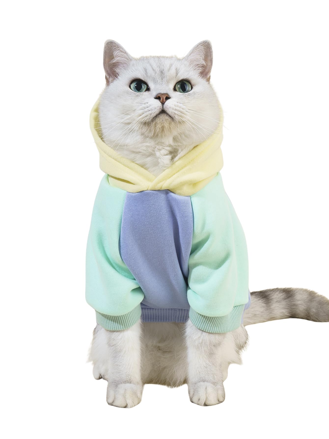Qweee Basic Dog & Cat Hoodie, Warm Jacket & Shirt For Small & Medium Dogs & Cats - Yellow & Blue - X-Small