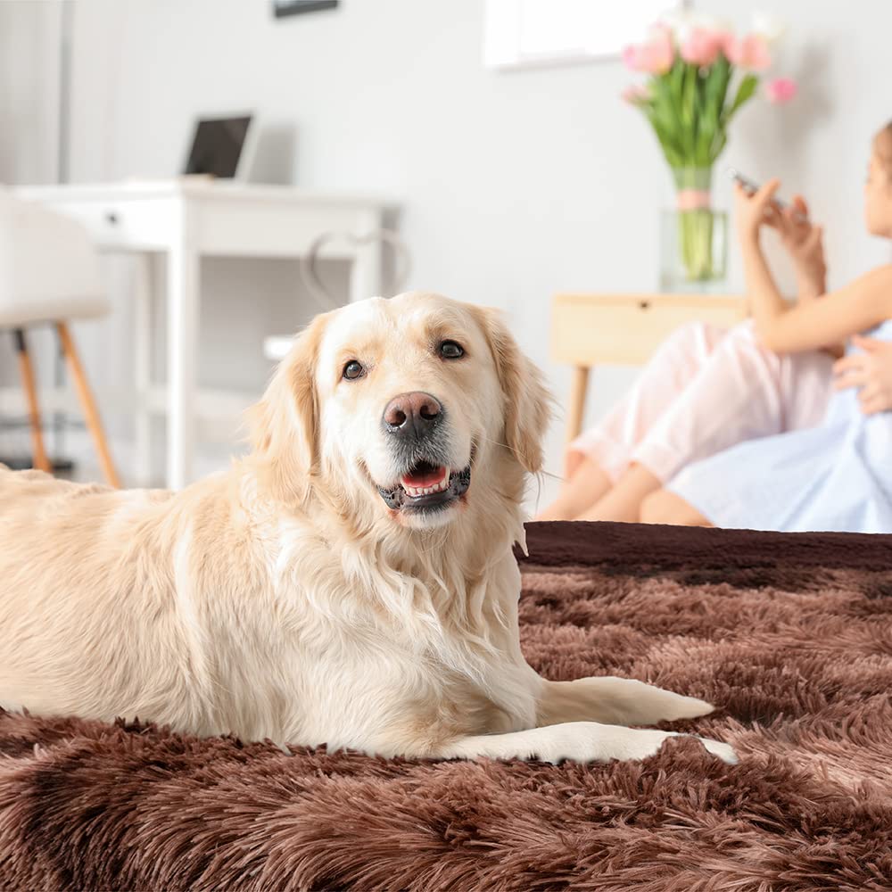Petami Waterproof Dog Blanket For Medium Large Dog, Puppy Pet Blanket Couch Cover Protection, Sherpa Fleece Fuzzy Cat Blanket Throw, Couch Sofa Bed Furniture Protector Reversible, 40X60 Tie-Dye Brown