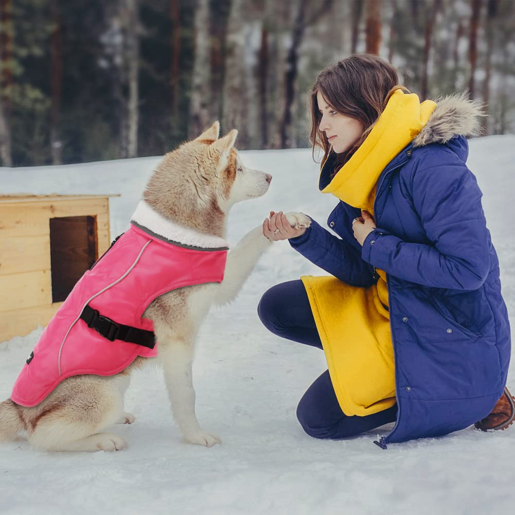 Emust Winter Dog Jacket, Windproof Dog Apparel For Cold Weather, Reflective Winter Coats For Dogs, Warm Puppy Jacket For Cold Winter, Pink, S