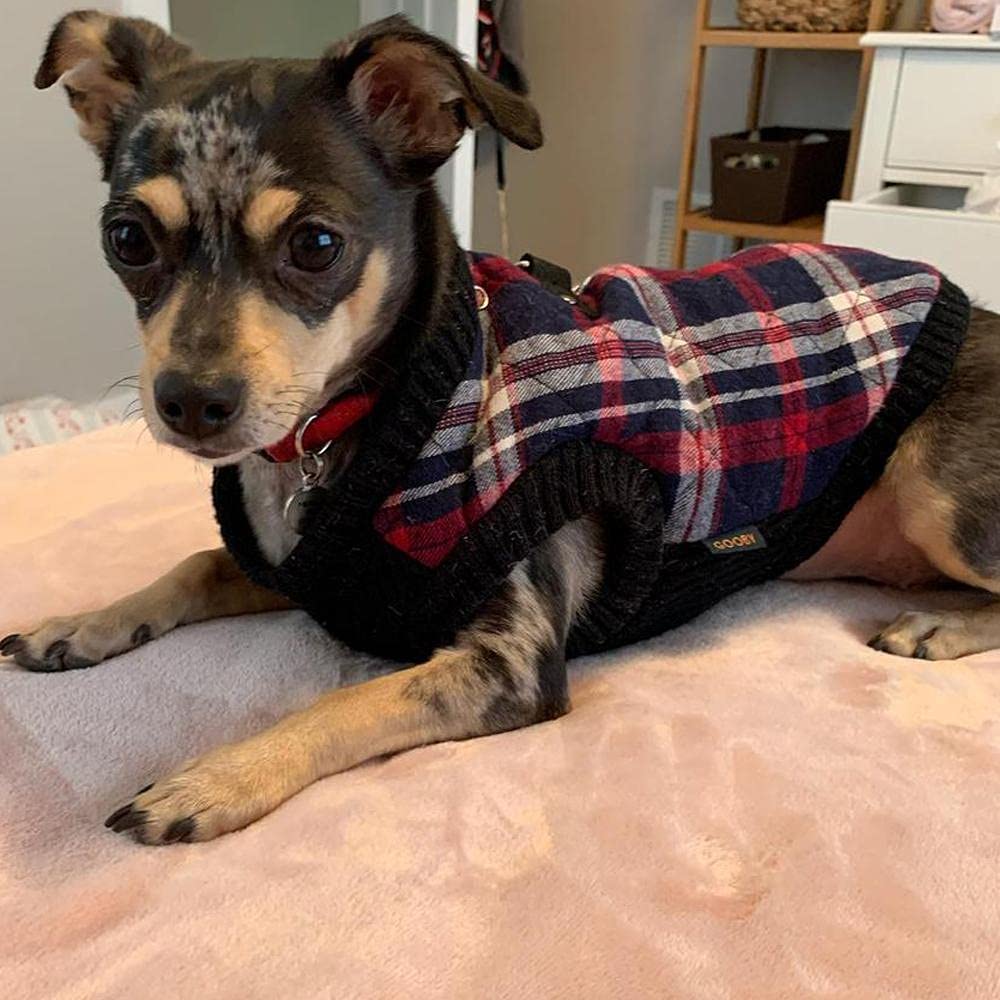 Gooby Fashion Vest Check Dog Jacket - White Check, X-Large - Warm Zip Up Dog Bomber Vest Dual D Ring Leash - Winter Water Resist