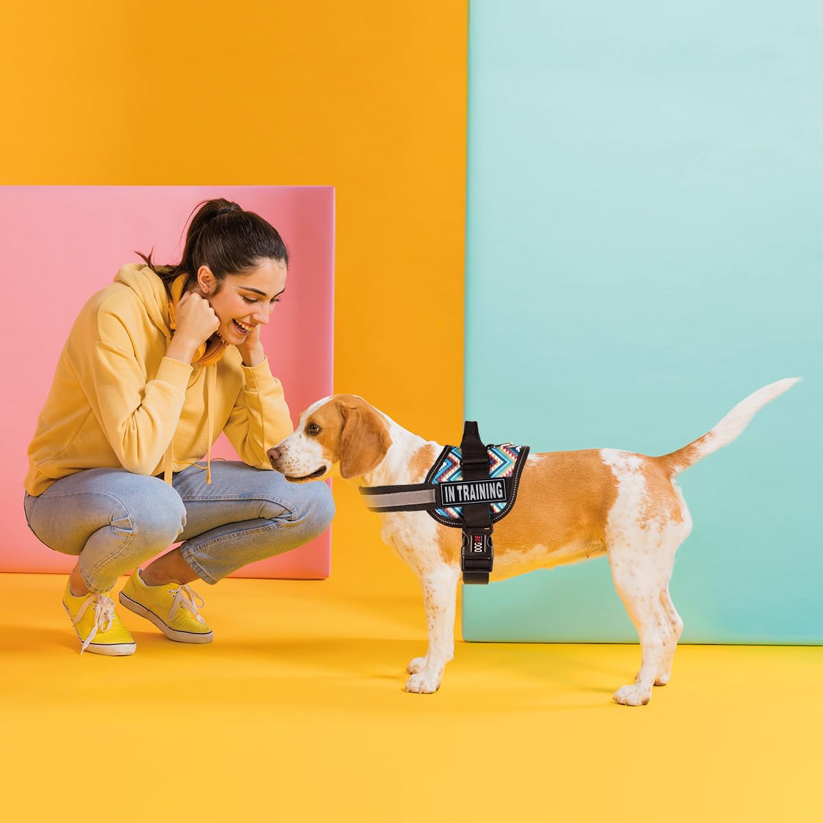 Dogline In Training Patches For Harnesses And Vests Removable 3D Rubber Patches With Hook Backing For Small Medium Or Large Working Dogs 1' X 2.75' - Two Patches