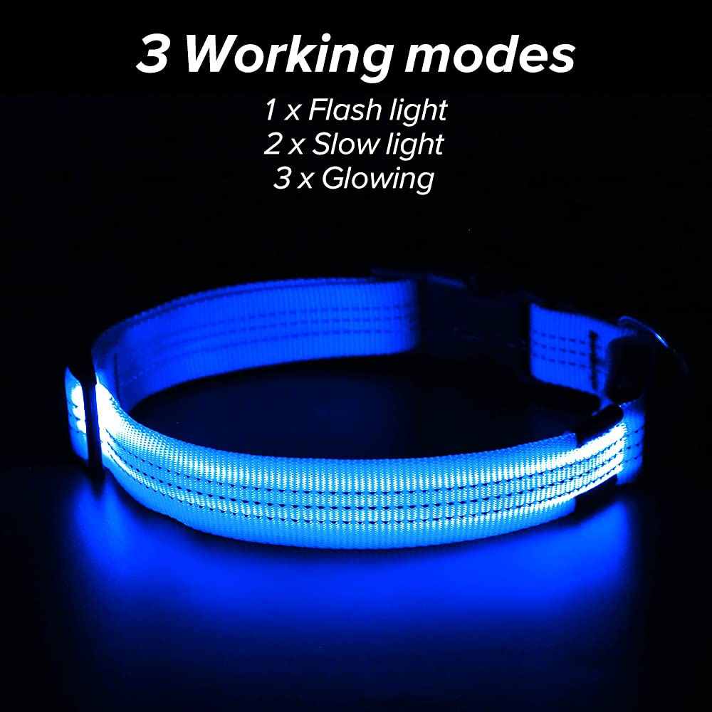 Illumifun Light Up Dog Collar, Usb Rechargeable Led Dog Collars, Reflective Safety Collar Light For Your Dogs Walking At Night (Blueⅲ, Large)