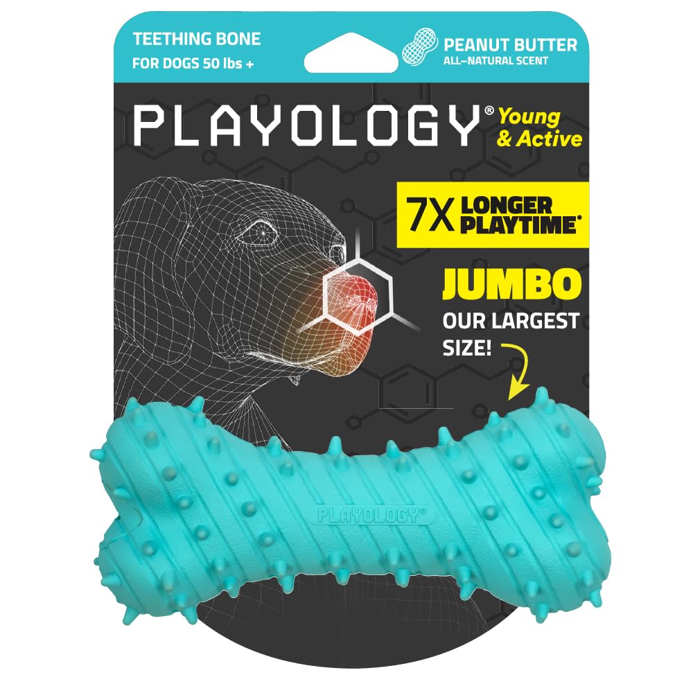 Playology Puppy Teething Bone Dog Toy for Young & Active Dogs | Engaging All-Natural Peanut Butter Scented Jumbo Sized Chew Toy 