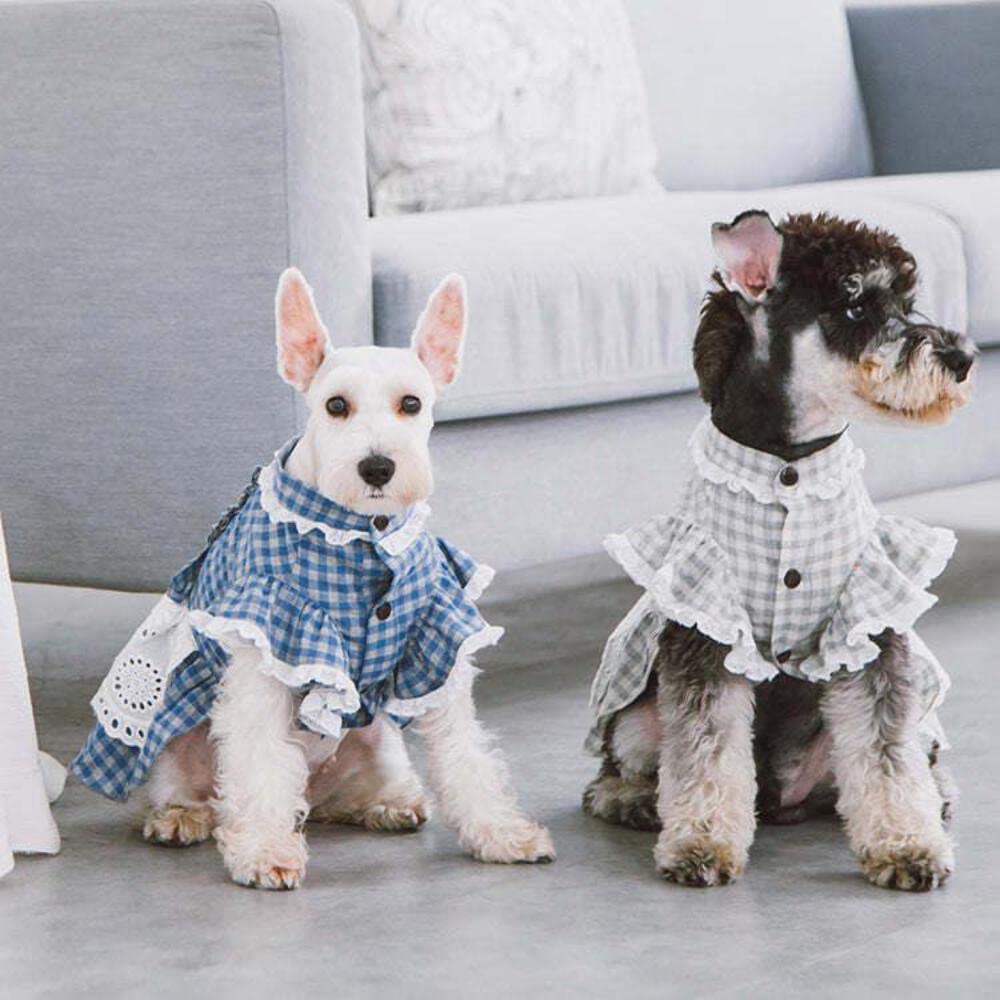 Touchdog 'I Love Poochi' Classical Fashion Plaid Dog Dress, X-Small, Blue