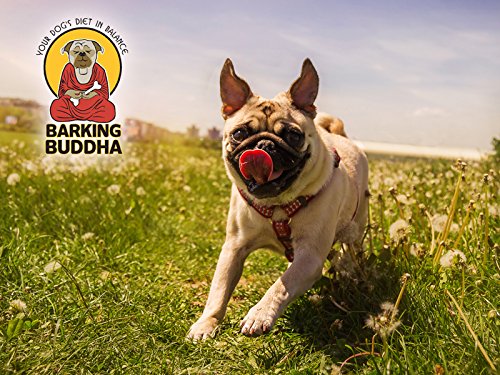 Barking Buddha Original Beef Cheek Rolls | Super Thick | All Natural Rawhide Alternative No Hide Premium Dog Chew Sticks | Natur