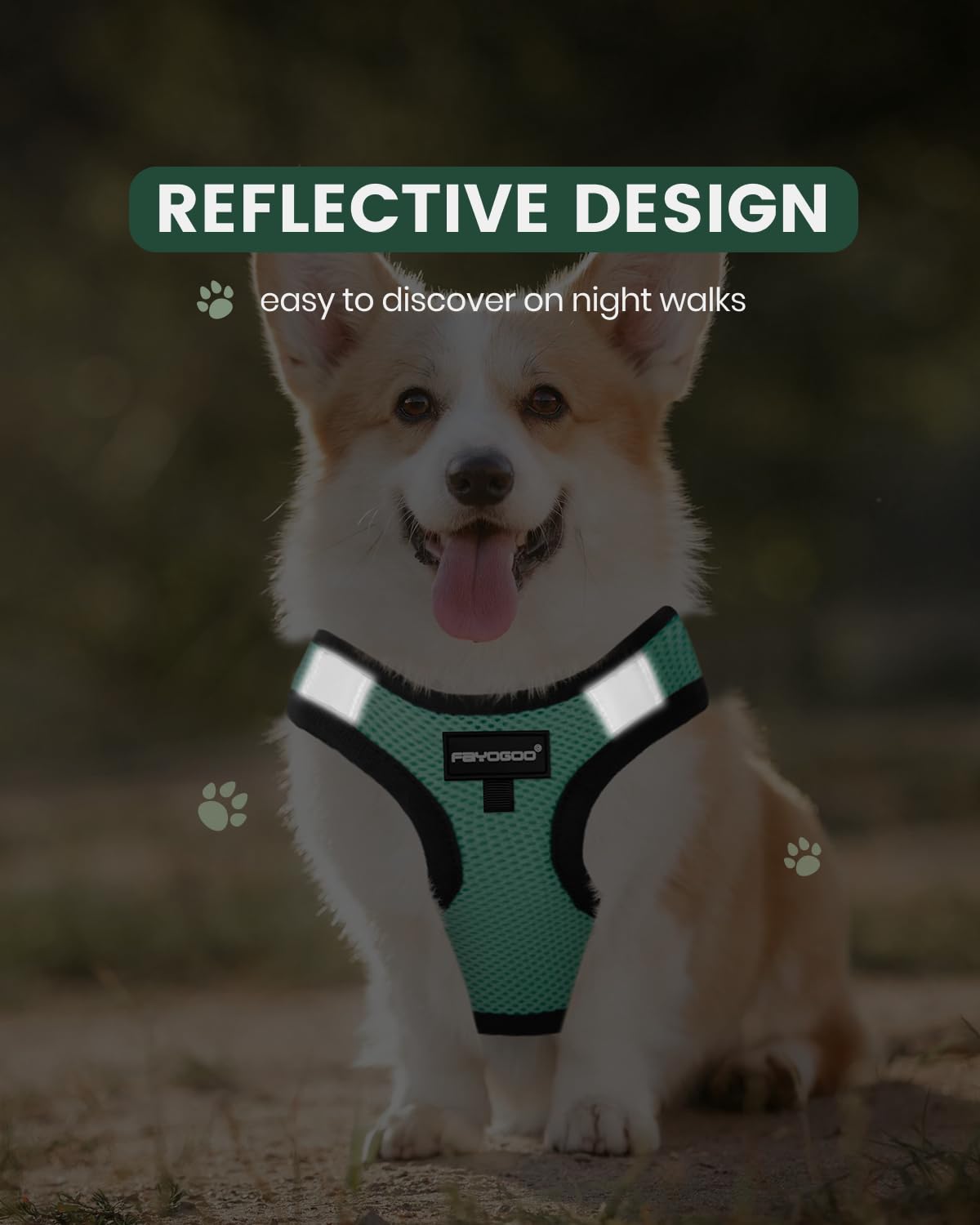 Fayogoo Dog Harness For Small Dogs - Lightweight Service Dog In Training Harness With 6Pcs Removable Patches - Puppy Harness For