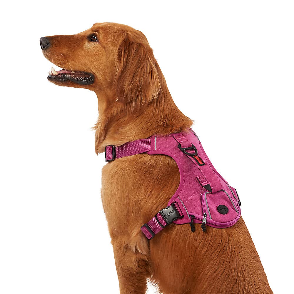 Kong Ultra Durable Waste Bag Harness (Small, Pink)