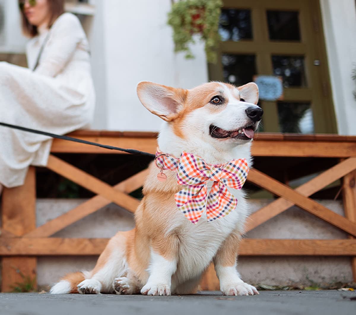 Dogwong Fall Dog Collar With Removable Cute Bow Tie Adjustable Pet Collars - Soft Comfy Cotton Halloween Themed Pet Collar, Fall
