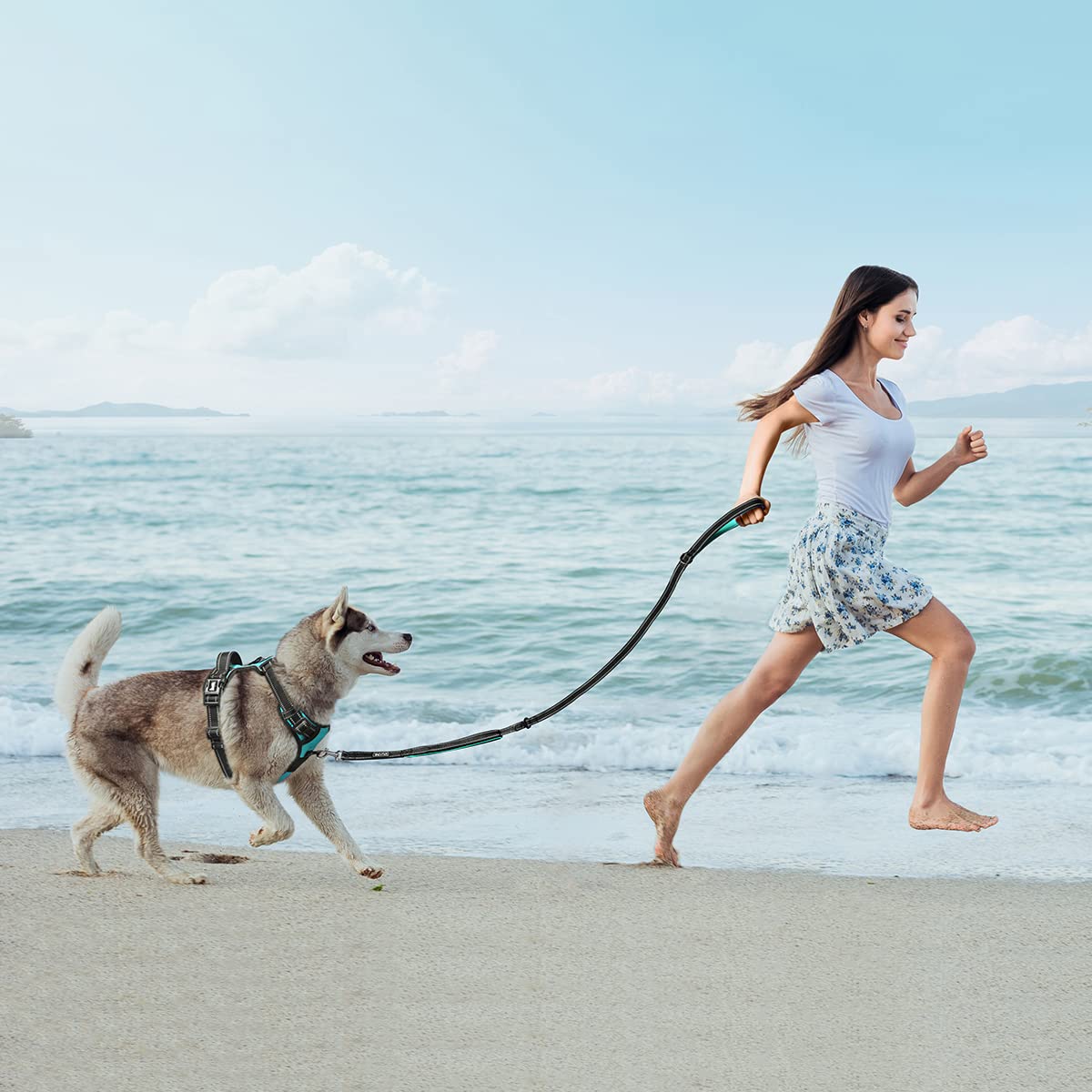 Poypet 5 Feet Dog Leash - 3M Reflective - 2 Cushioned Handles - Functional Car Seat Belt(Mint Blue)