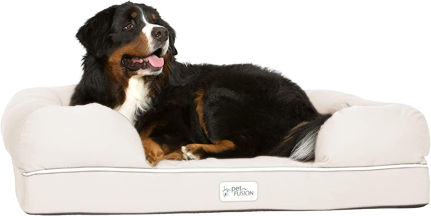 Petfusion Extra Large Dog Bed W/ Solid 4'' Memory Foam, Waterproof Liner, & Ykk Premium Zippers. [Brown, 44X34X10'' ), X-Large (