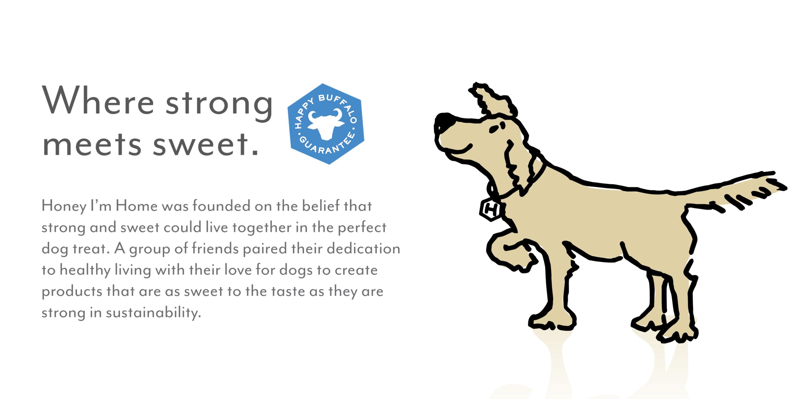Honey Im Home, Lung Bites Buffalo Dog Treats, 3.1 Ounces - All Natural, Free Range, Healthy, Grain Free, Honey Coated & Crispy