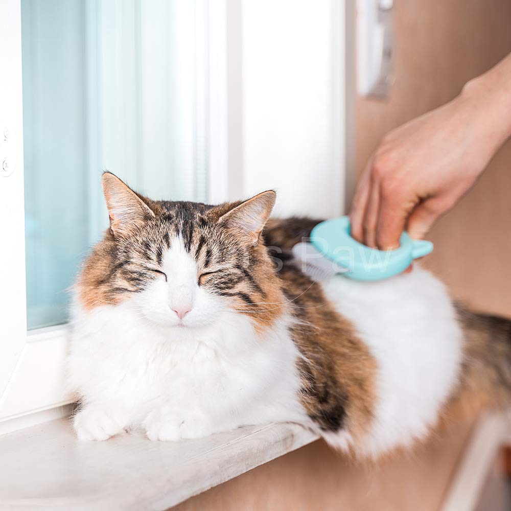 Leo's Paw Pet Hair Removal Massaging Shell Comb - Soft Deshedding Brush for Cats, Dogs, Puppies, Bunnies - Mint, 1 Count