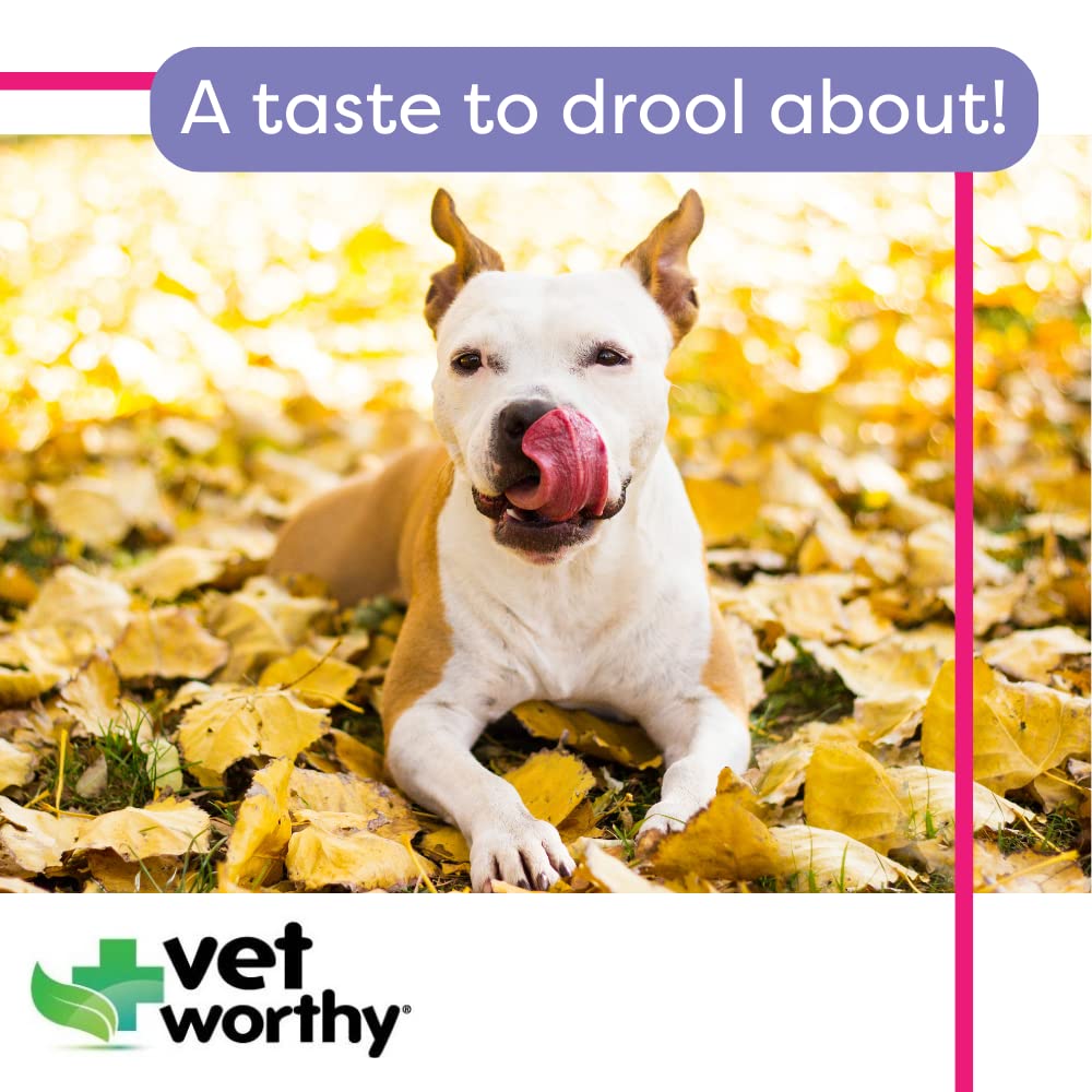 Vet Worthy Stop Stool Ingestion -Coprophagia - Dogs Supplement to Prevent Stool Eating - Dog Supplement with Yucca Schidigera, P