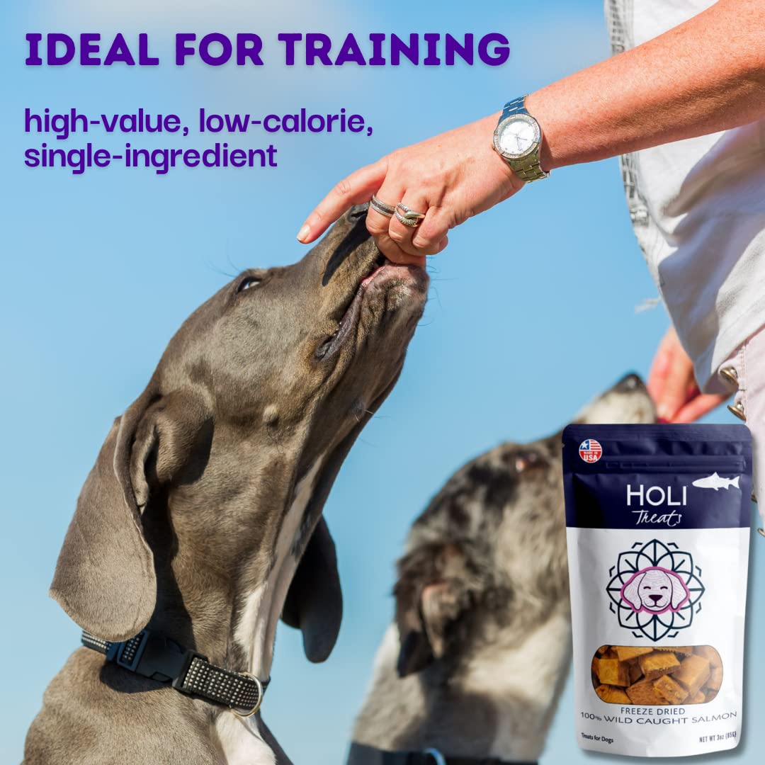 HOLI Freeze Dried Salmon Dog Treats - with Omega 3 and 6 Fish Oil - All Natural - Human Grade - Wild Caught Salmon with Skin - M