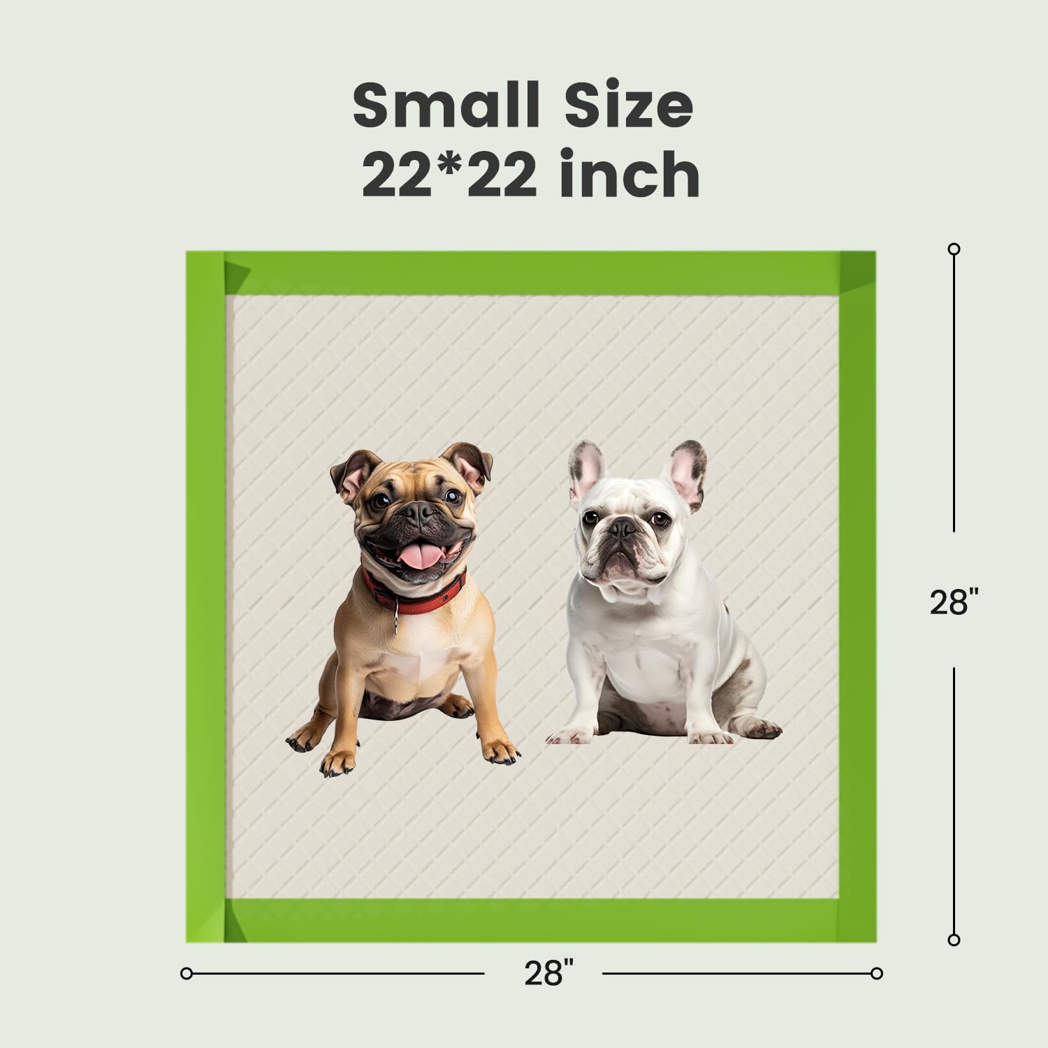 Gardner Pet Dog Pee Pads Rugular 22 x22 , Thicker ECO Green Small Disposable Puppy Training Pads Super Absorbent Full Edge-Wrapp
