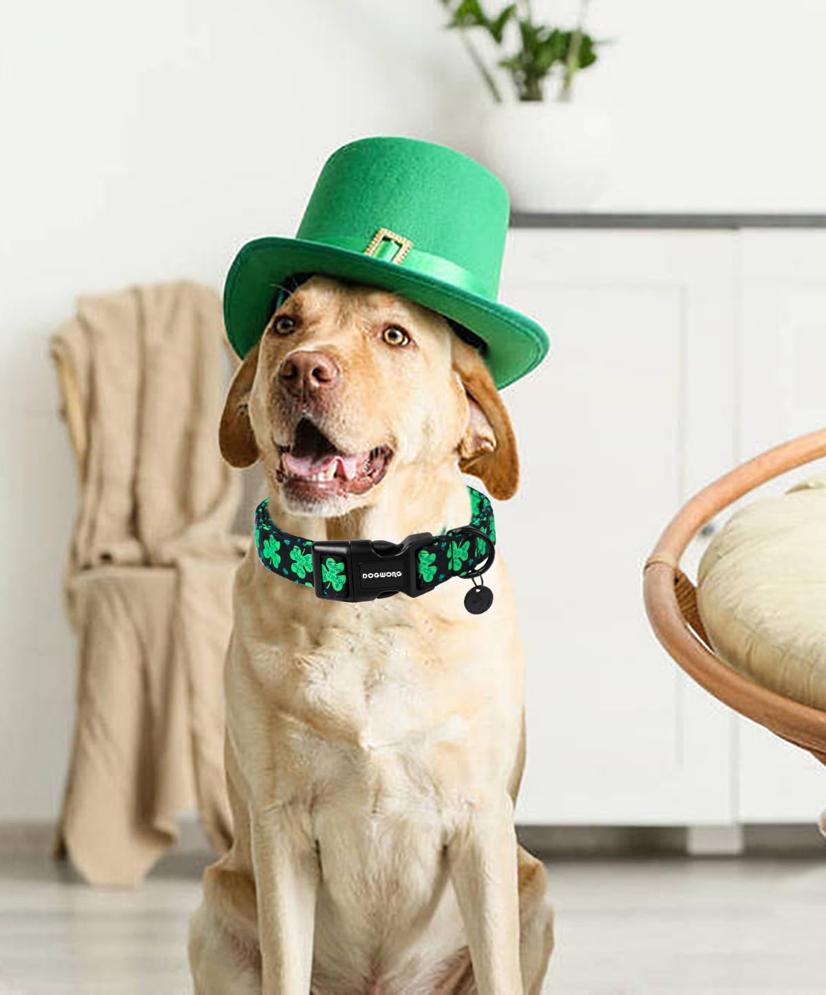 Dogwong Black St. Patrick'S Day Dog Collar, Green Lucky Clover Shamrock Dog Collar Soft Durable Adjustable Costume Bright Lucky