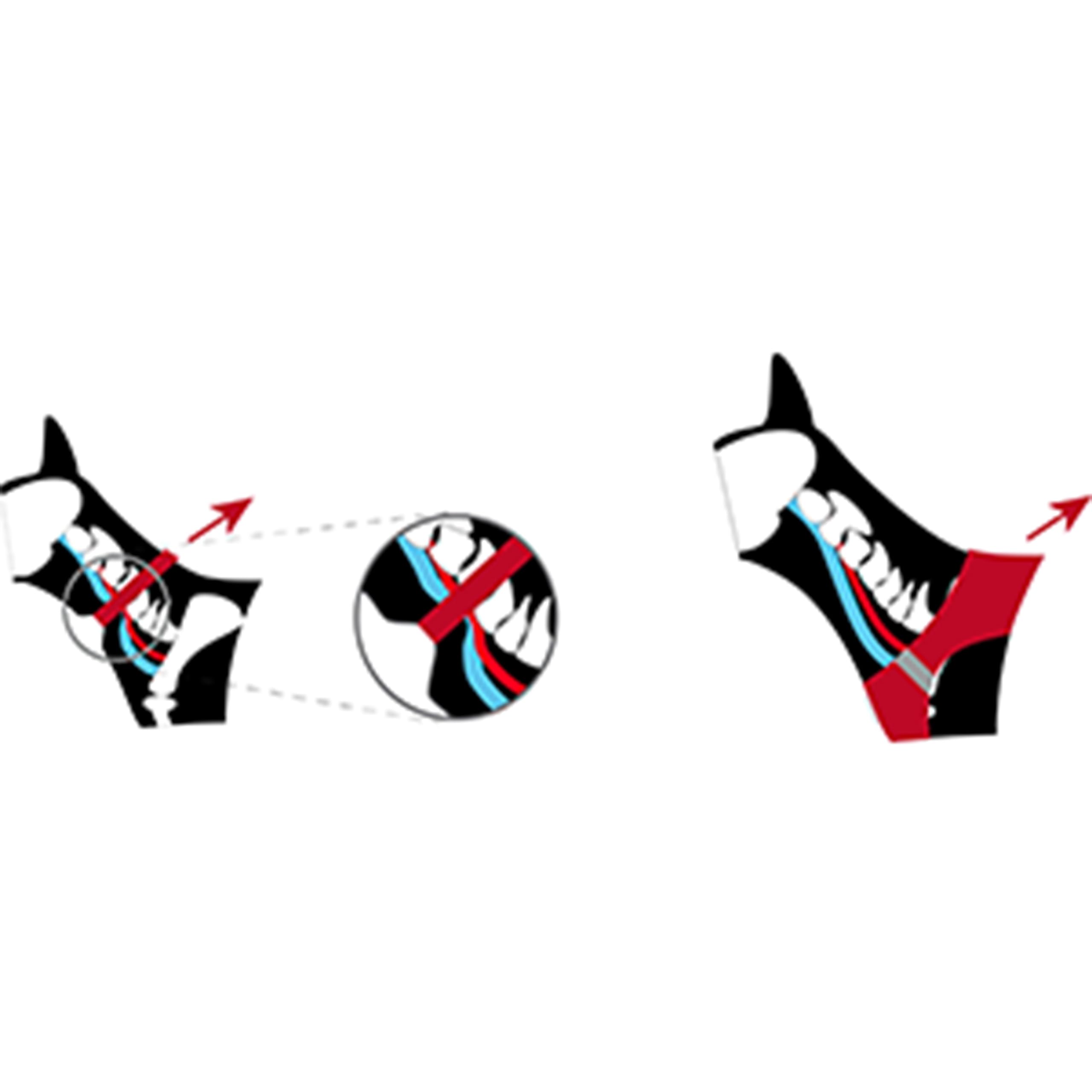 Curli Basic Harness Air-Mesh Dog Harness Pet Vest Adjustable Step-In Light Harness Black L