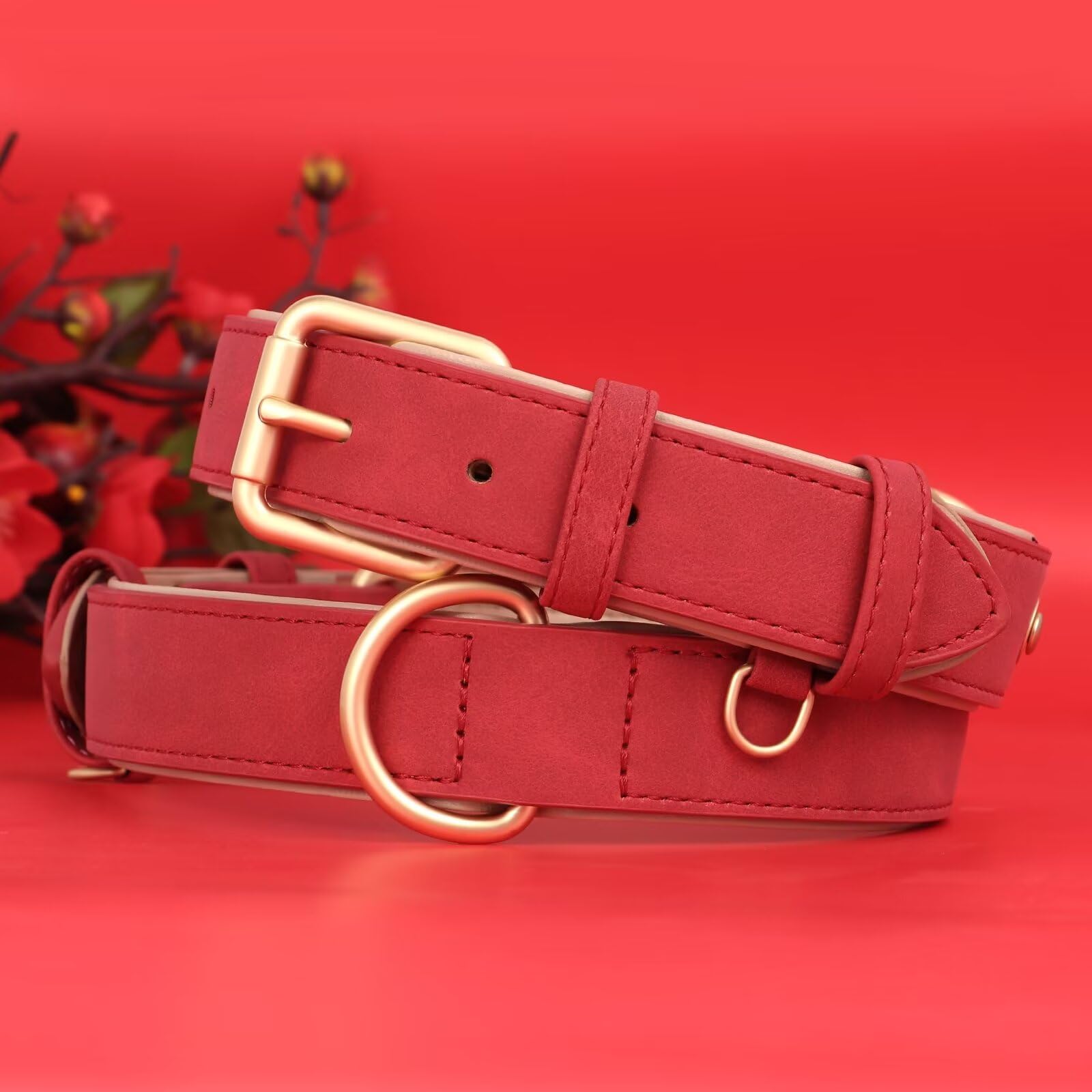 Didog Soft Padded Leather Dog Collar, Adjustable Dog Collars For Medium Dogs With Heavy Duty Metal Buckle And D Ring,Red,L