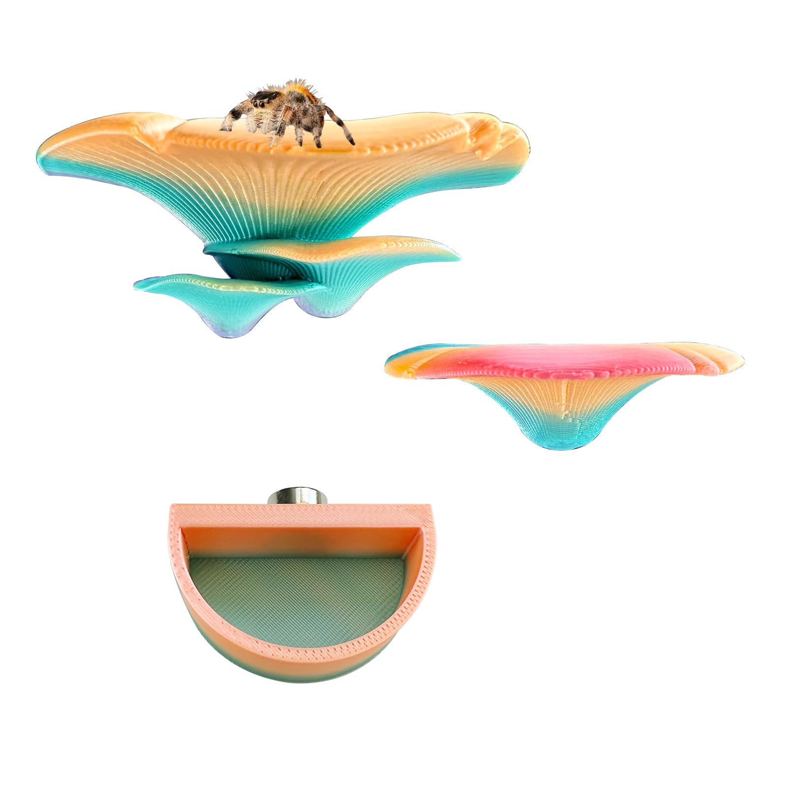 2 Pack Jumping Spider Enclosure Mushroom Ledges & 1 Pack Water Bowl with Magnets for Spoods Jumping Spiders Magnetic Ledge Ladde