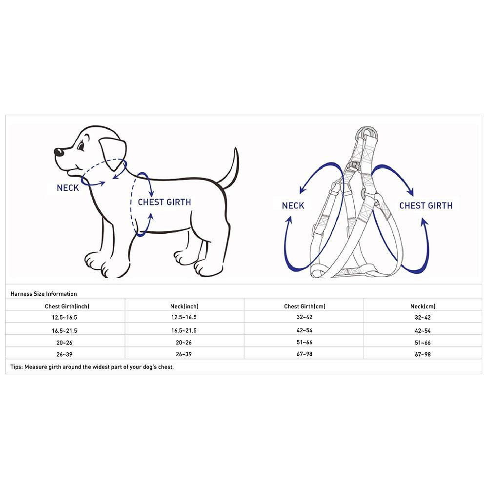 Blueberry Pet Essentials Classic Durable Solid Nylon Step-In Dog Harness, Chest Girth 26' - 39', Mint Blue, Large, Adjustable Harnesses For Puppy Boy Girl Dogs