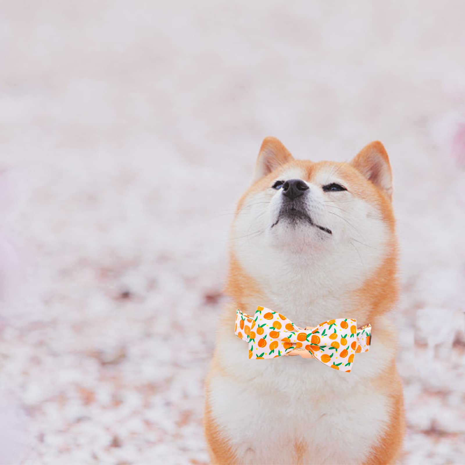 Elegant little tail Dog Collar, Dog Collar with Bowtie, Peach Cute Pink Pet Collar Bow Dog Collars Adjustable Dog Collar for X-S