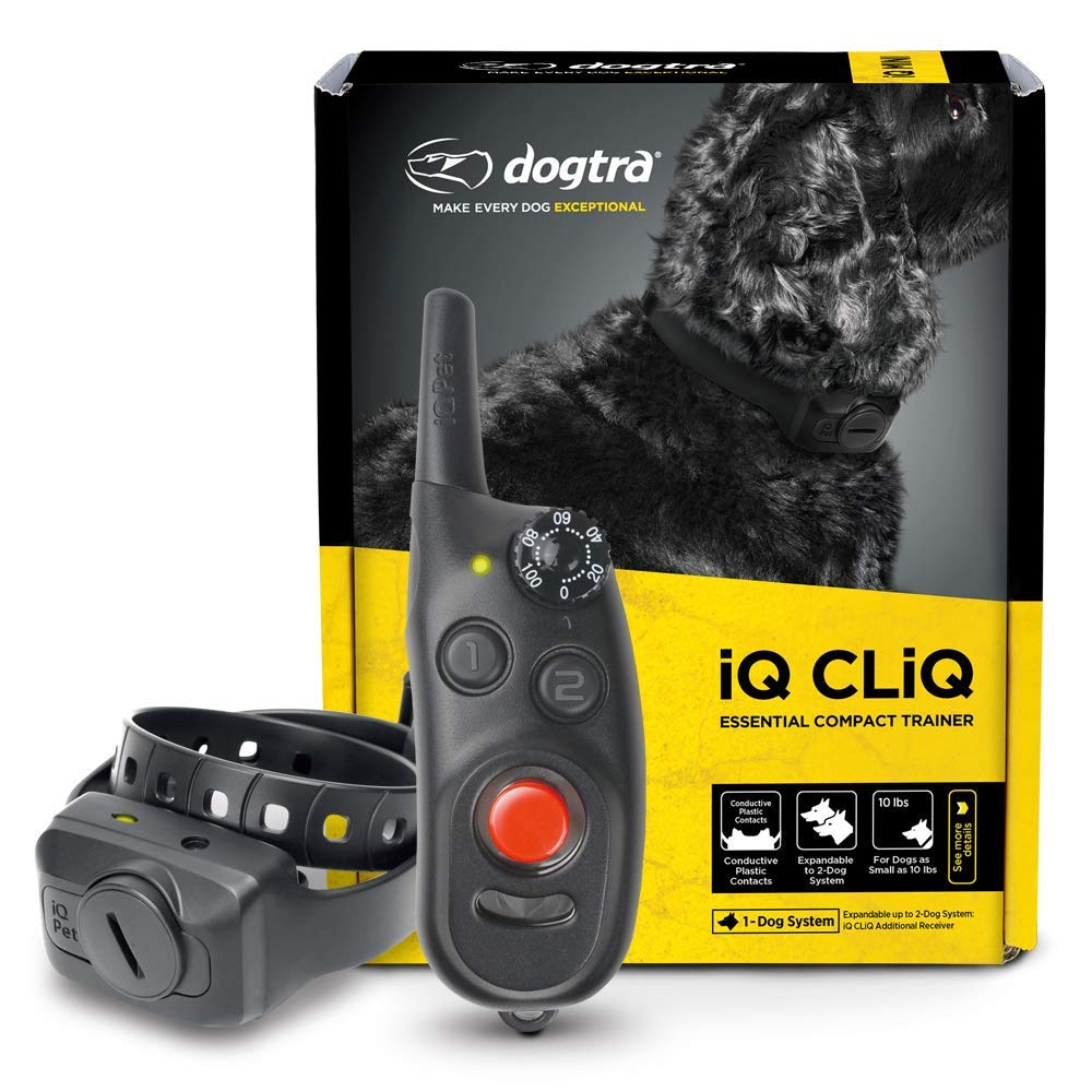 Dogtra iQ CLiQ Replaceable Battery Conductive Plastic Contact Points Ultra - Compact Dog Training E-Collar -Like New