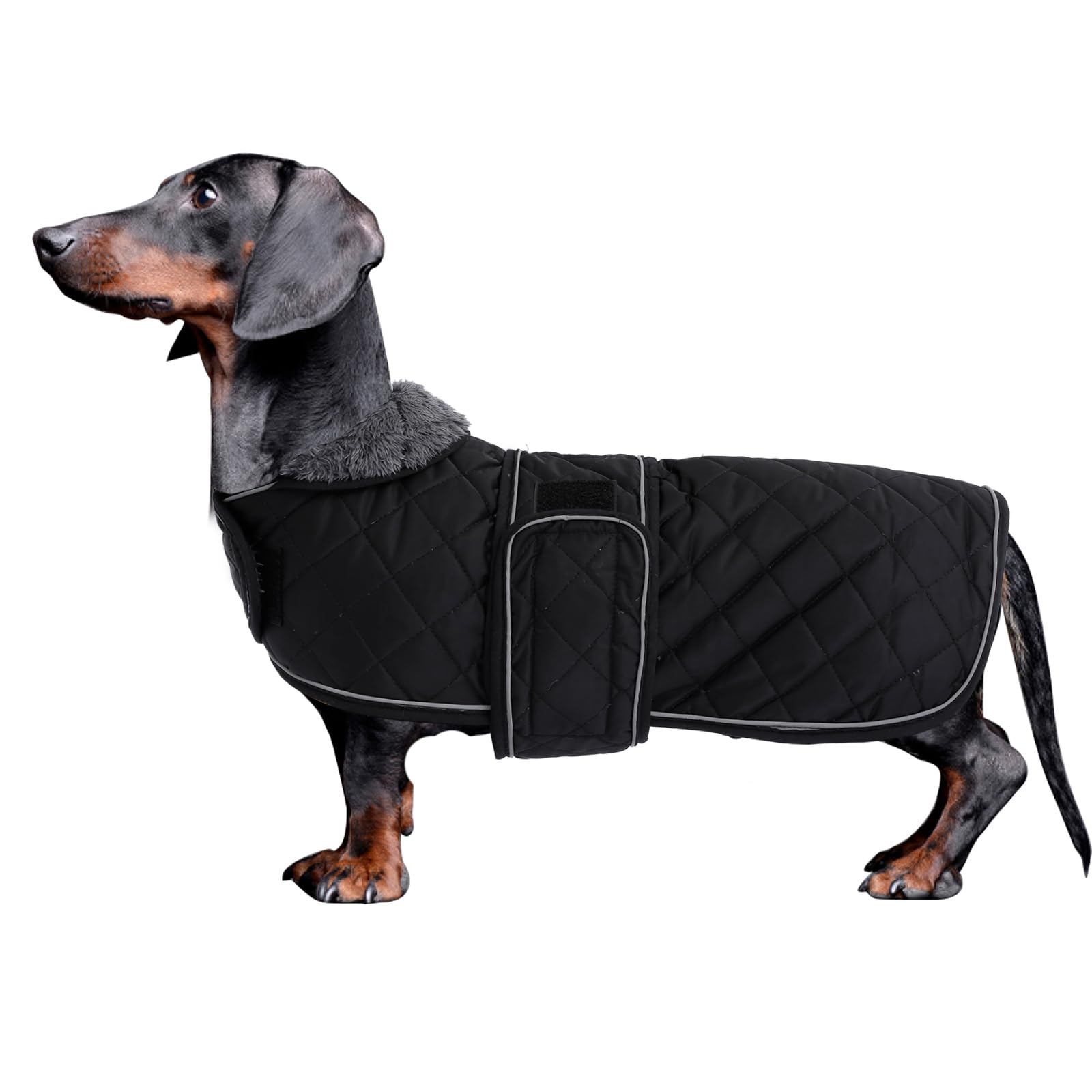 Morezi Dachshund Coats, Dachshund Coat, Coat For Dachshund, Dog Winter Coat With Padded Fleece Lining, Outdoor Dog Apparel With Adjustable Bands - Black - L