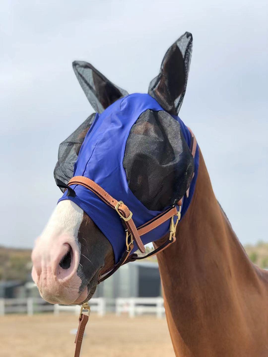 Horse Fly Mask Super Comfort Horse Fly Mask Elasticity Fly Mask with Ears We Only Make Products That Horses Like (DK Blue, M)
