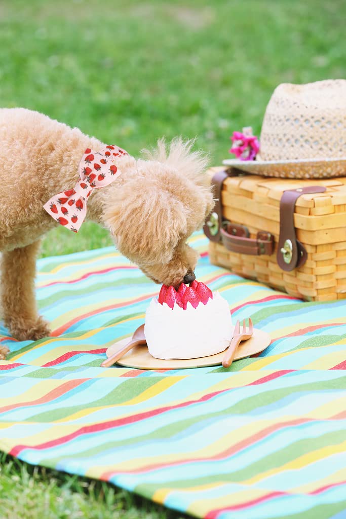 Lionet Paws Dog Collar With Bowtie - Summer Cute Cotton Adjustable Bowtie Dog Collar With Metal Buckle For Medium Dog Girl Boy,