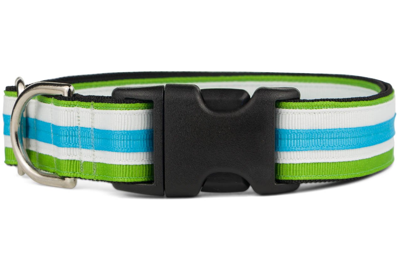 If It Barks 1'' Designer Striped Dog Collar (Medium (15''-22''), Pacific)