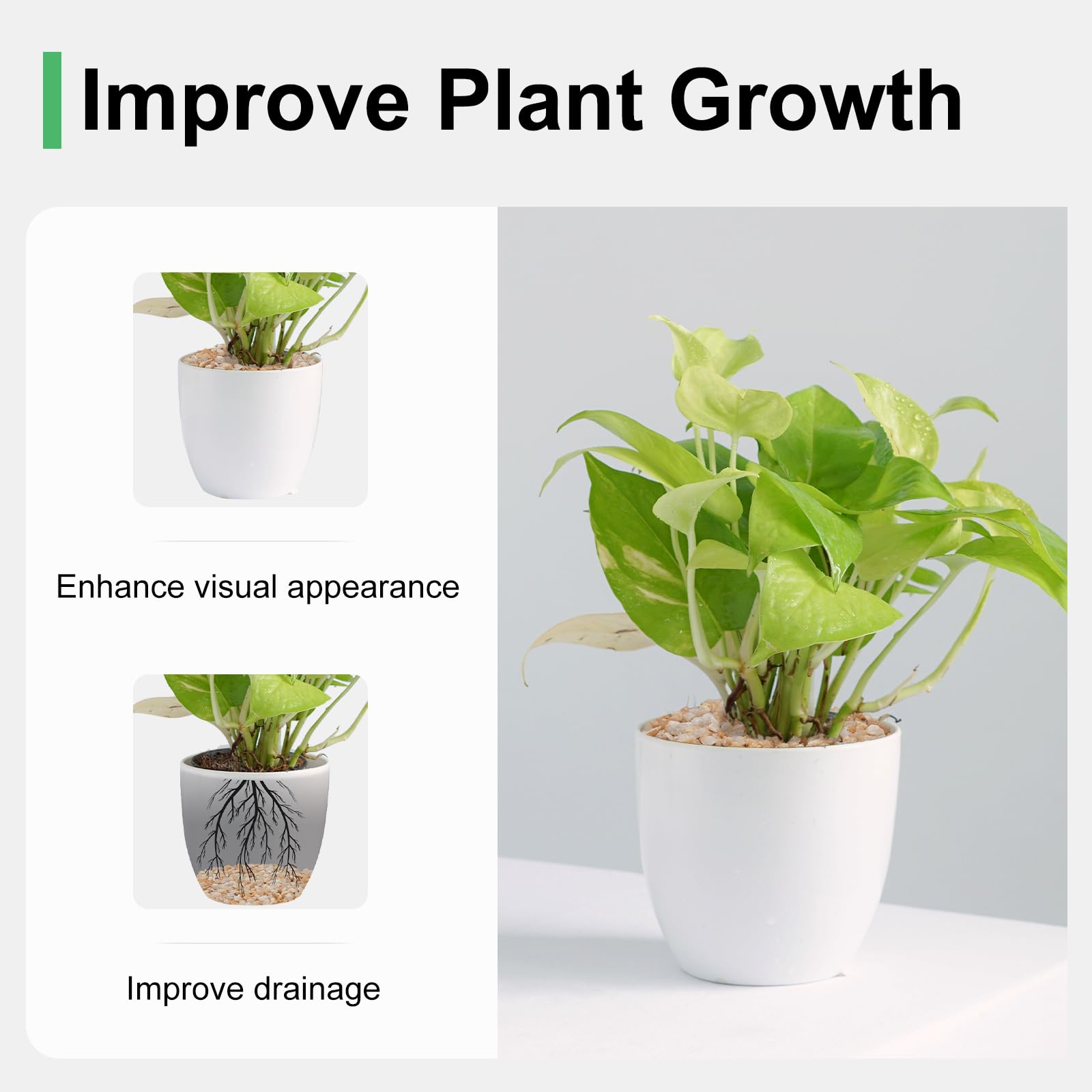 Pulovin 2.5 lbs Coarse Silica Sand for Indoor Plants, 1/5 Inch Natural Decorative Gravel for Vases, Aquariums, Terrarium, Fish T