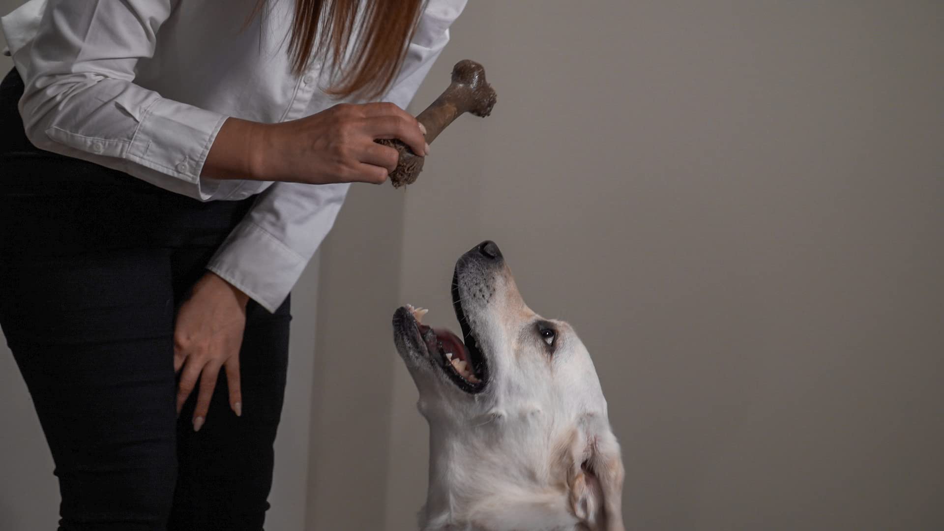 Hero Bonetics?Femur Bone Dog Chew Toy Medium / Peanut Butter