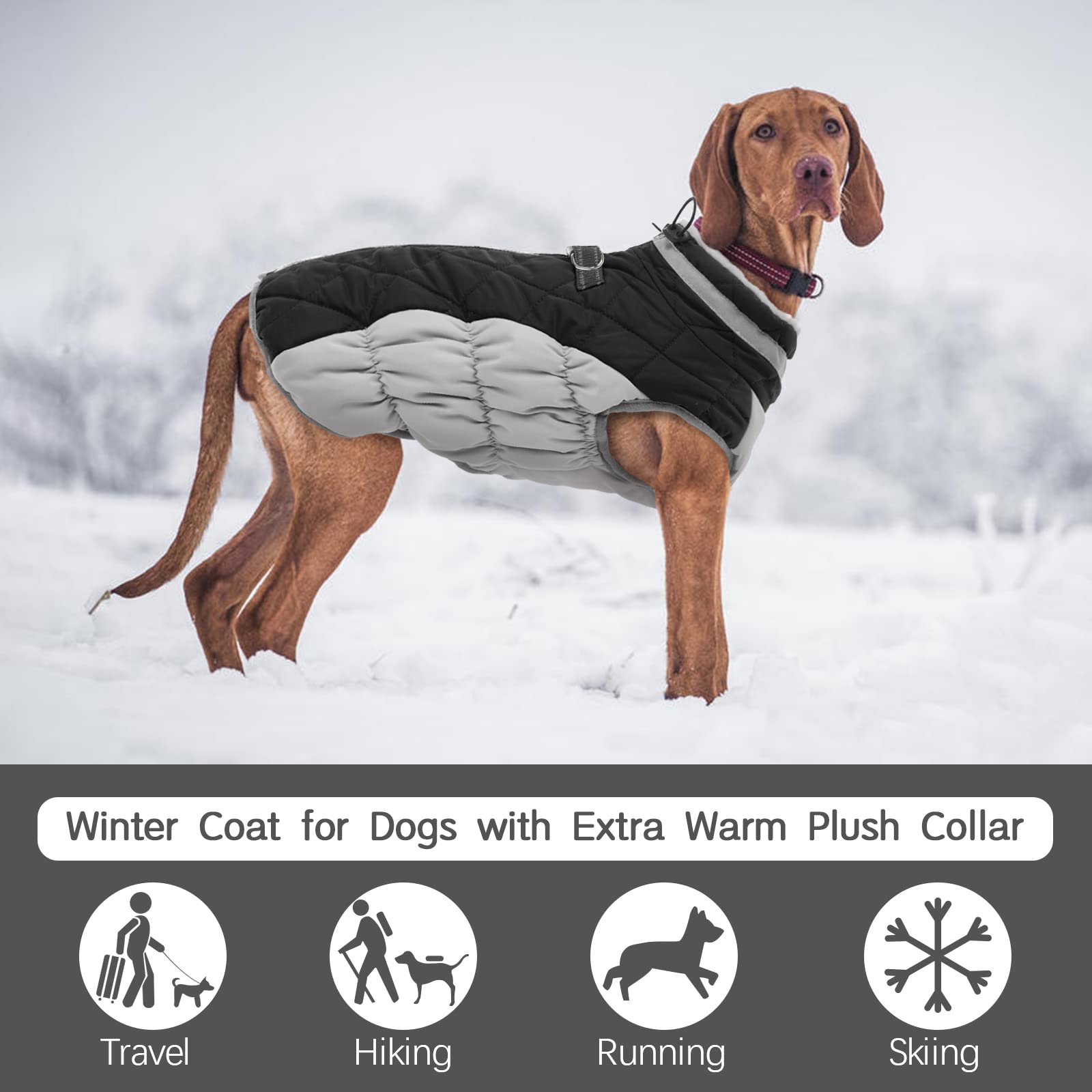 Fuamey Warm Winter Dog Jacket With Built-In Harness, Waterproof Windproof Reflective Fleece Vest With Zipper For Medium Dogs - B