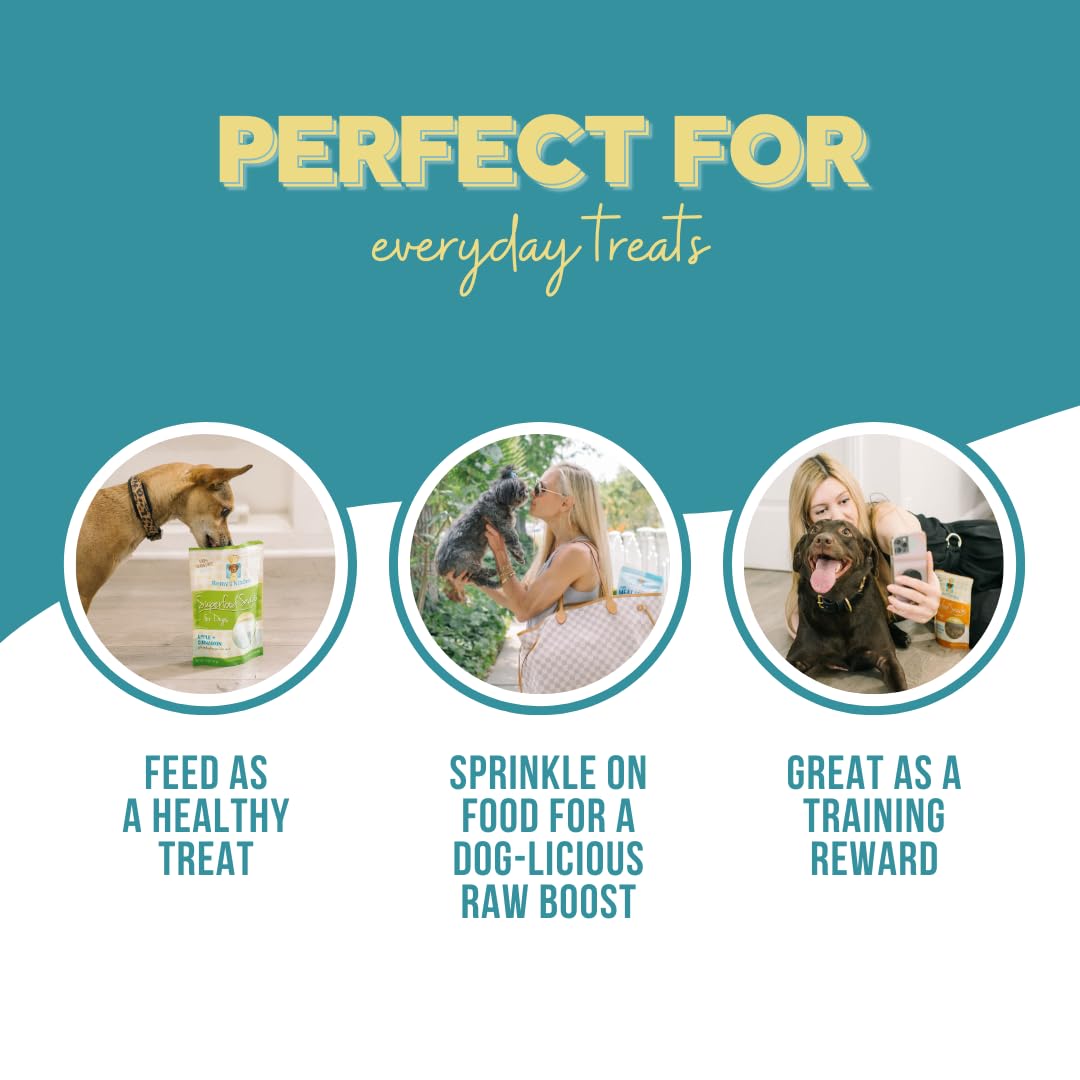 Remys Kitchen Chicken Meat Medley Freeze Dried Dog Treats USA Sourced and Small Batch Made - Human-Grade, All Natural Dog Treats