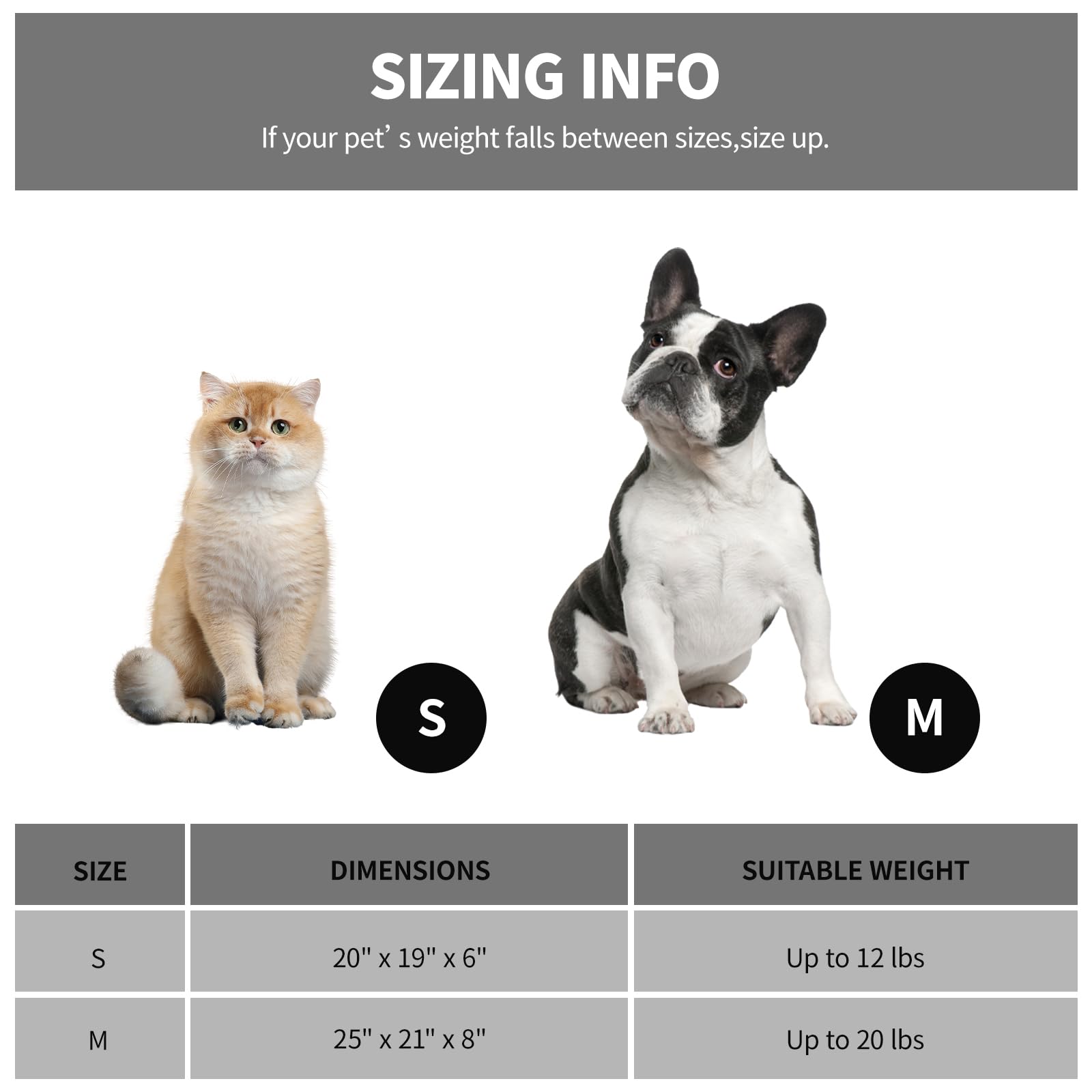 Looyn 20In Dog Bed For Small Dogs & Cats - Washable Rectangle Cat Kitten Bed For Indoor Pets, Cozy Cute Puppy Bed With Non-Slip