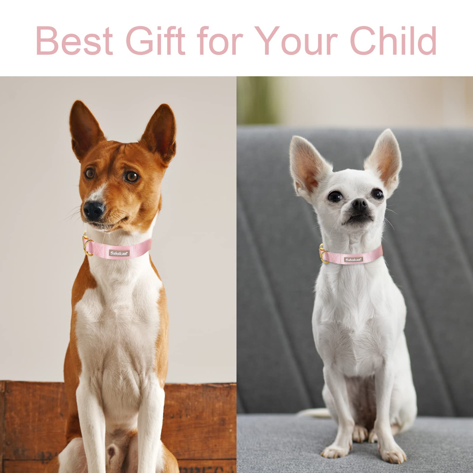 Babole Nylon Dog Collars Pink For Small Puppy Dog,13 Colors,Adjustable Soft Comfortable Pet Collars With Safety Metal Buckle For Medium Large Boy&Girl&Female Dog(Xs)