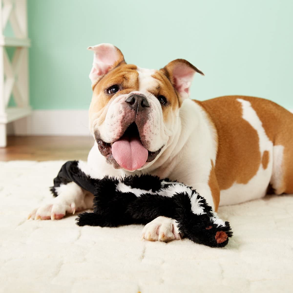 Skinneeez Skunk Dog Toy