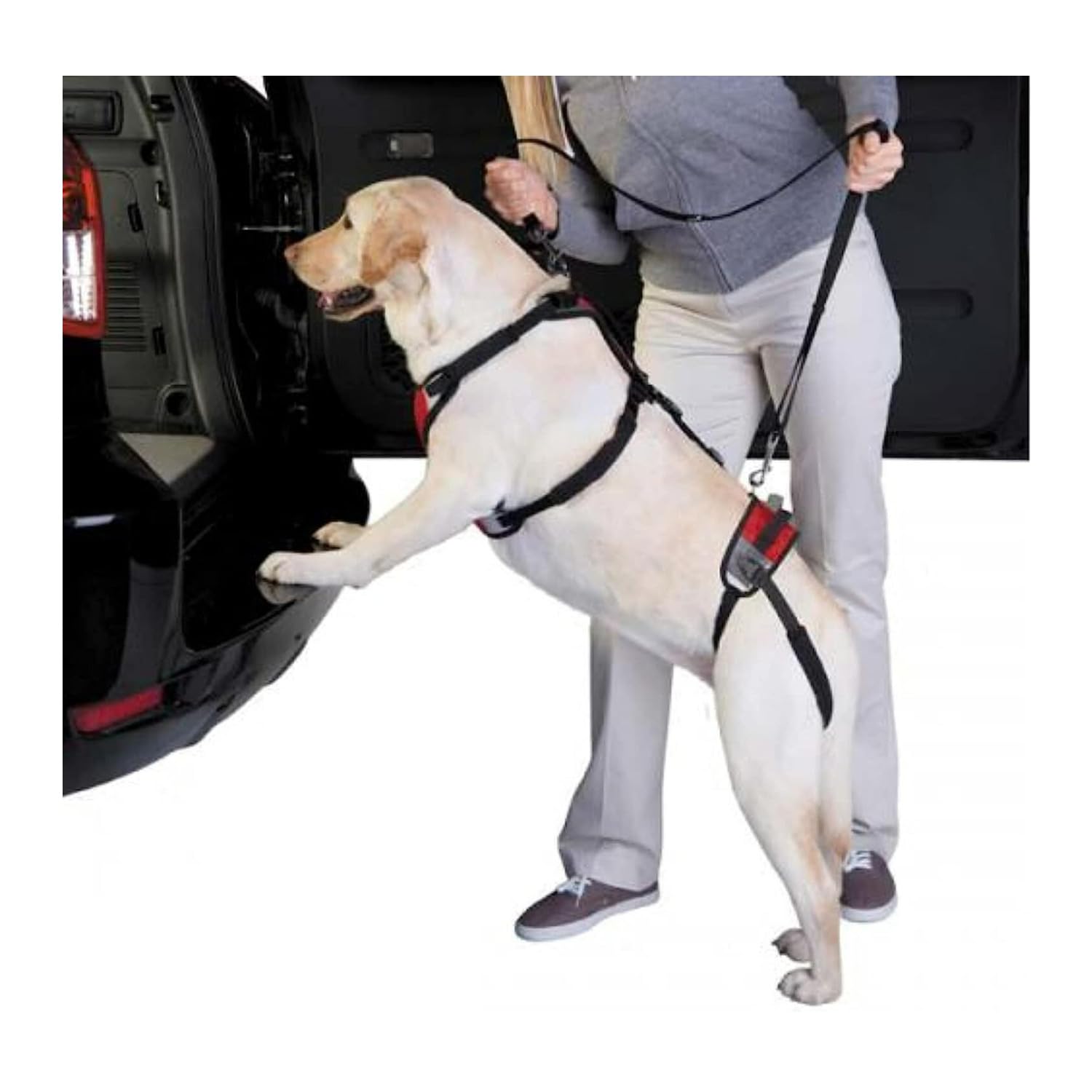 Total Pet Health Lift And Go Dog Lead, Large, Red