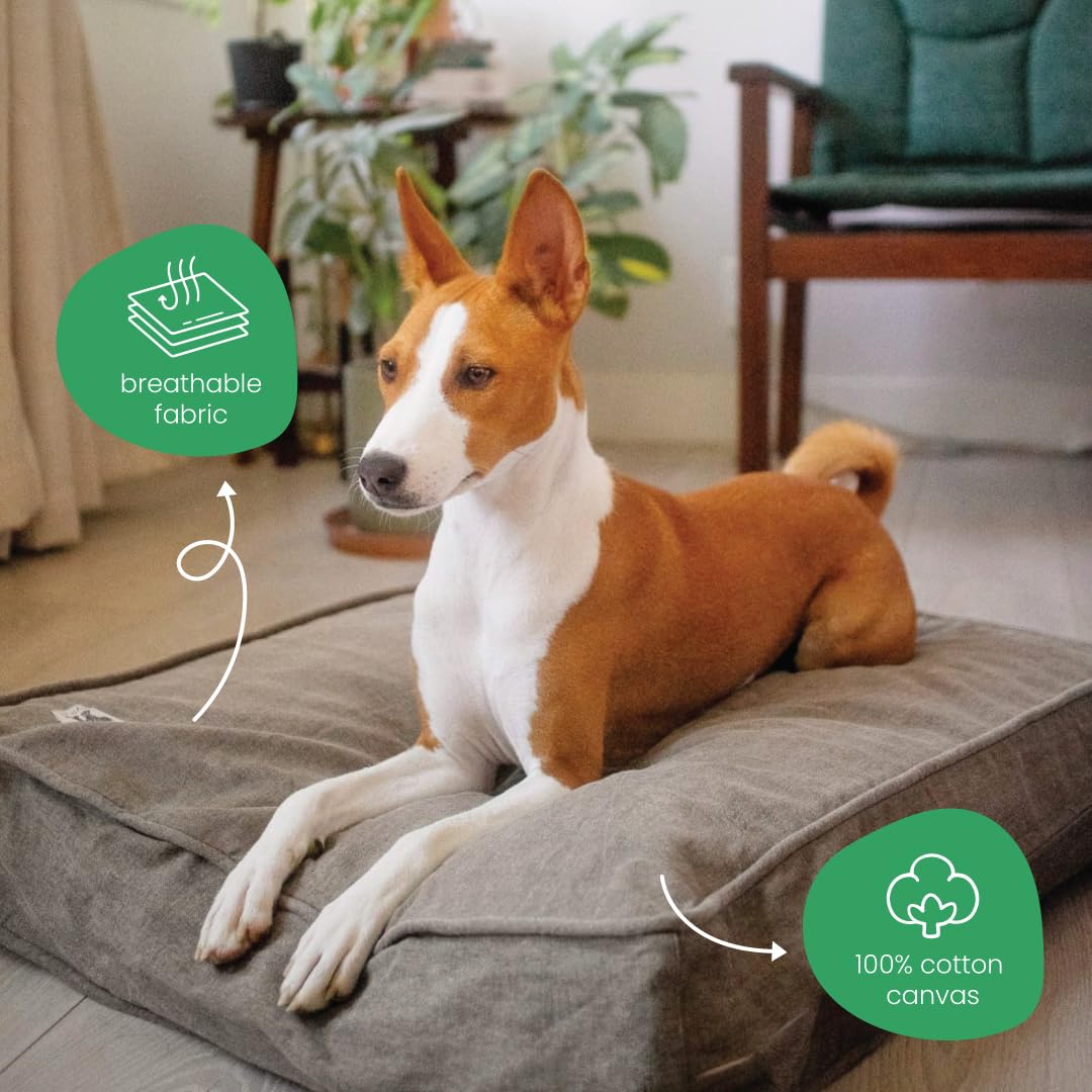 Molly Mutt Jupiter Dog Bed Duvet Cover, Gots-Certified 100% Cotton Canvas Cover For Dog, Puppy, Or Cat Bed, Durable, Washable, A