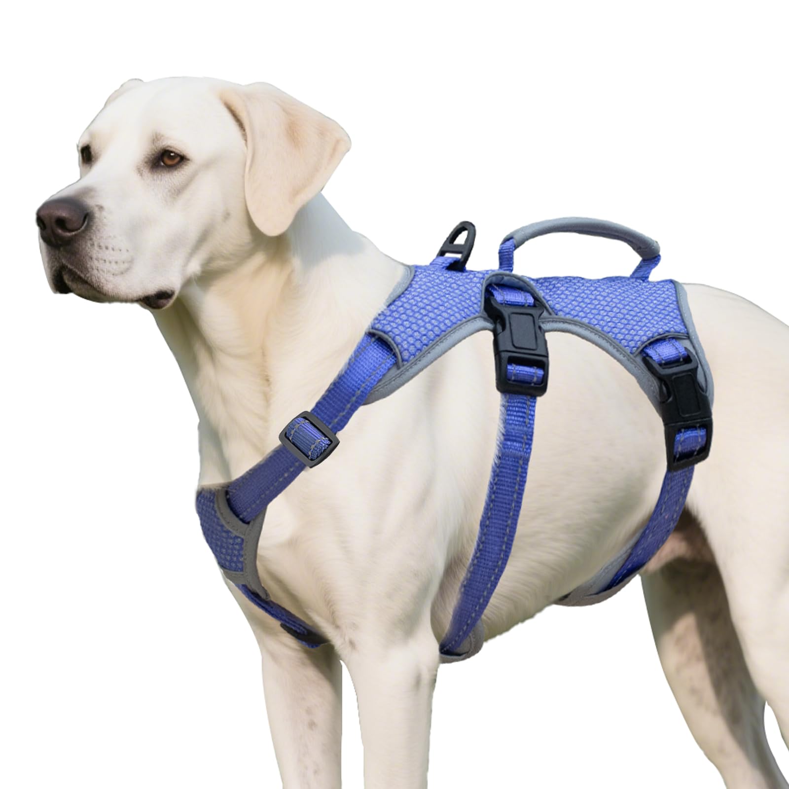 Escape Free Dog Harness, No Slip Harness With Lift Handle, Adjustable No Pull Vest With Soft Breathable Padded And Leash Clip For Medium And Large Dogs Walking Hiking Training (Technicolor Blue,Xl)