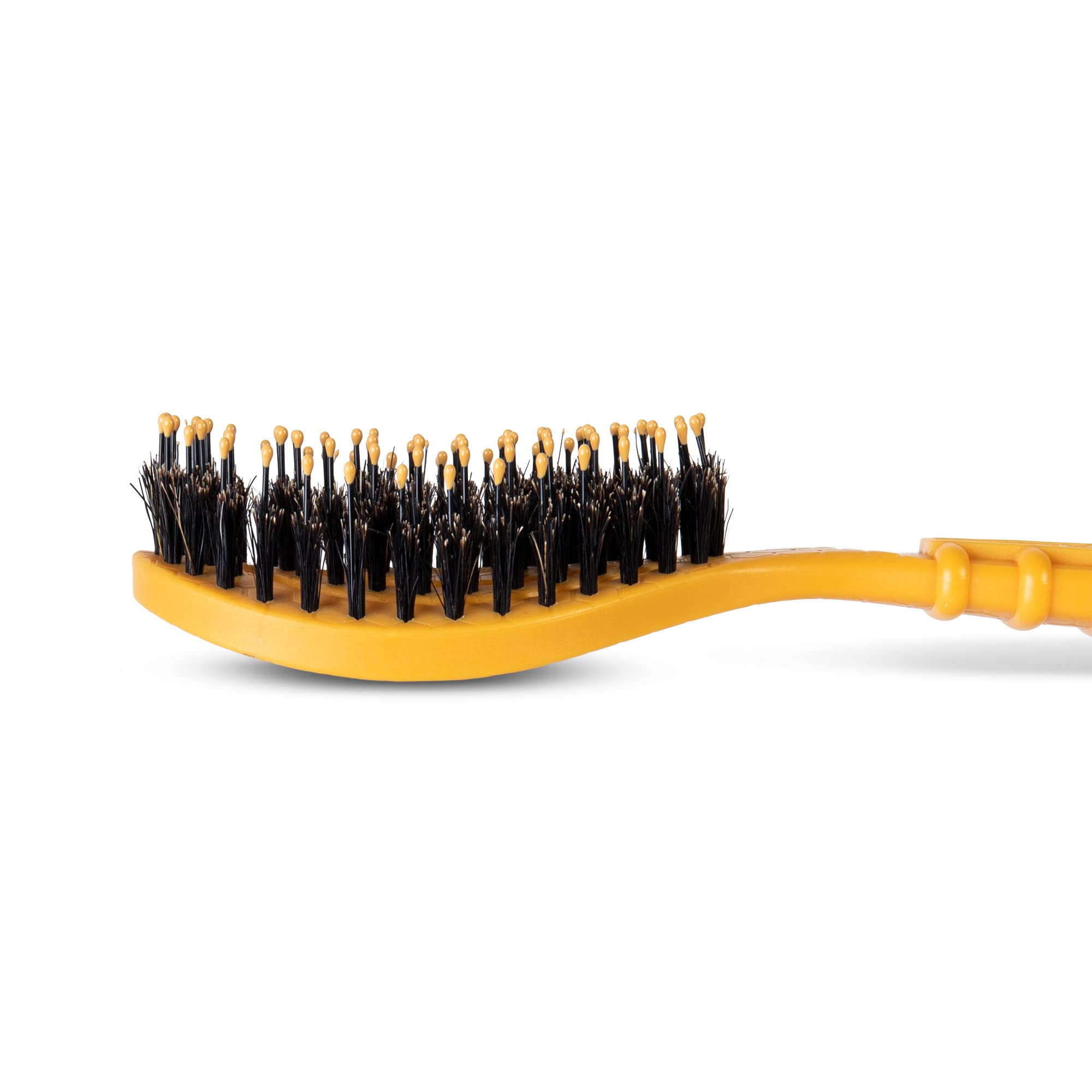 Burt’S Bees For Pets Porcupine Bristle Brush For Puppies And Small Dogs With Handle Made From Recycled Plastics Collected From Coastal Communities | Flex-Head Grooming Brush For Dogs